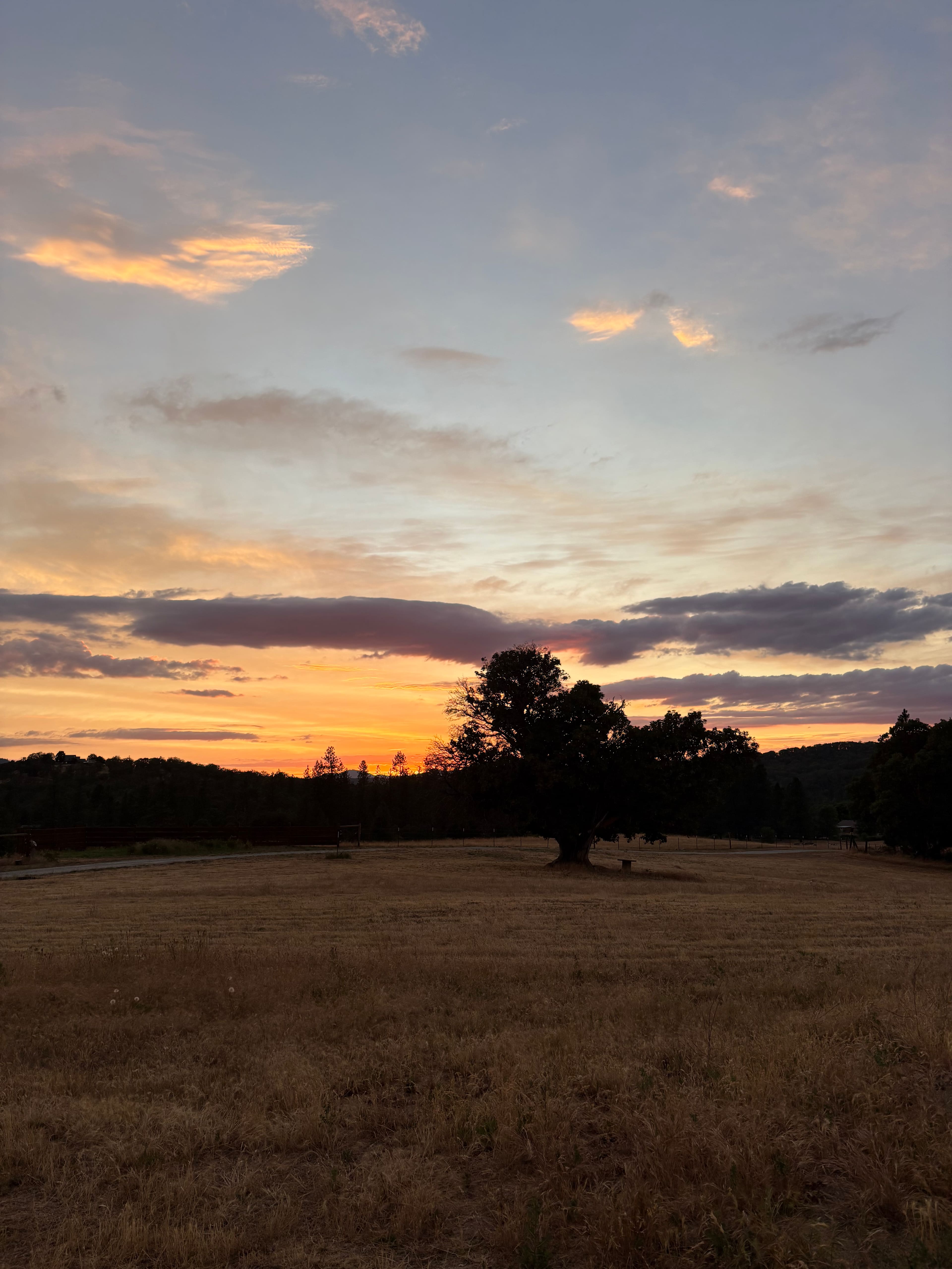 Lane Creek Reserve
