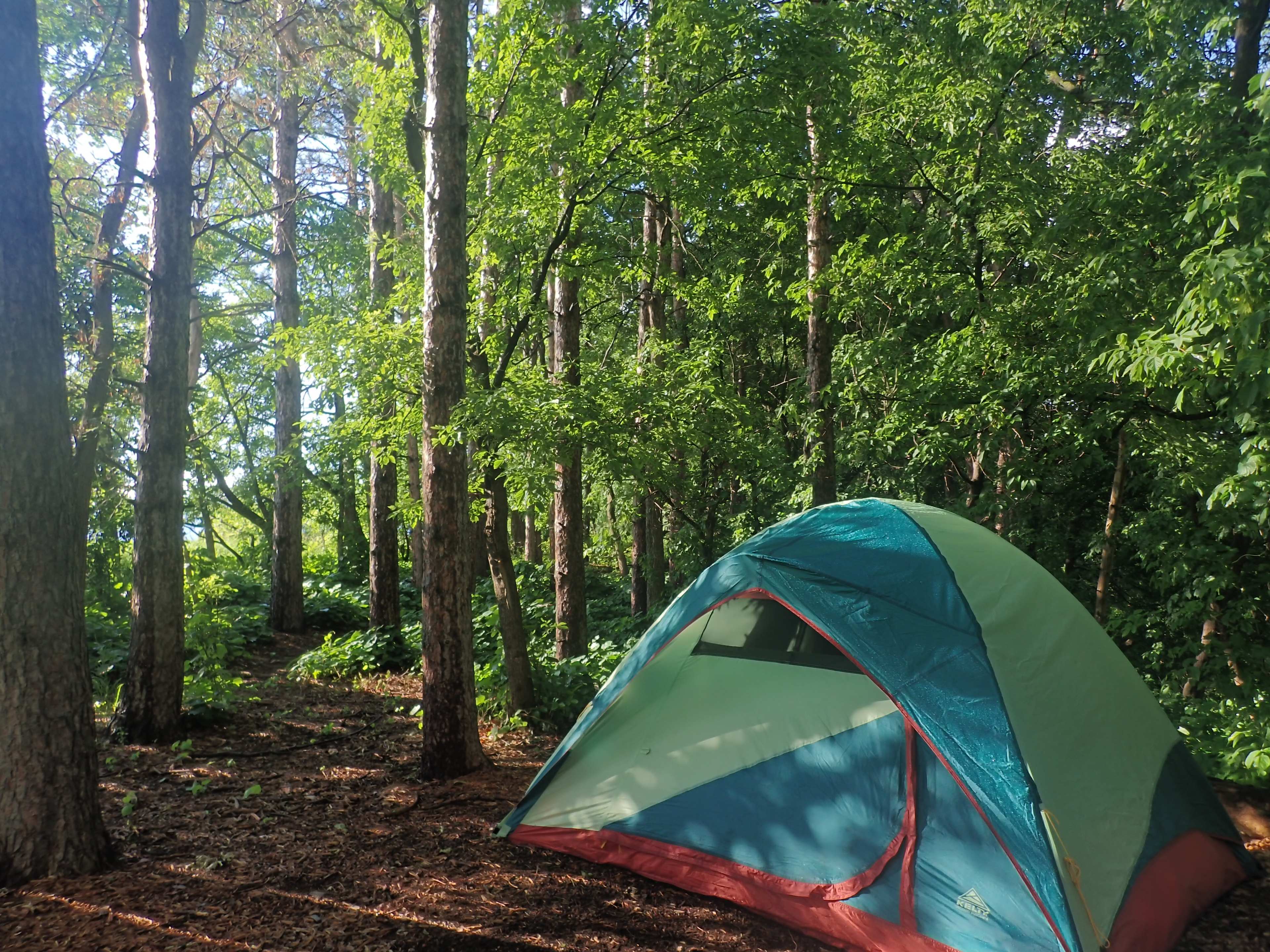 Whippletree Farm & Nature Trail