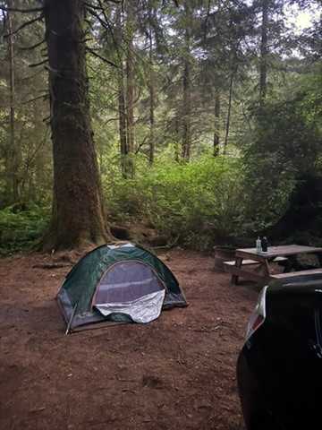 Mystic Forest Campground