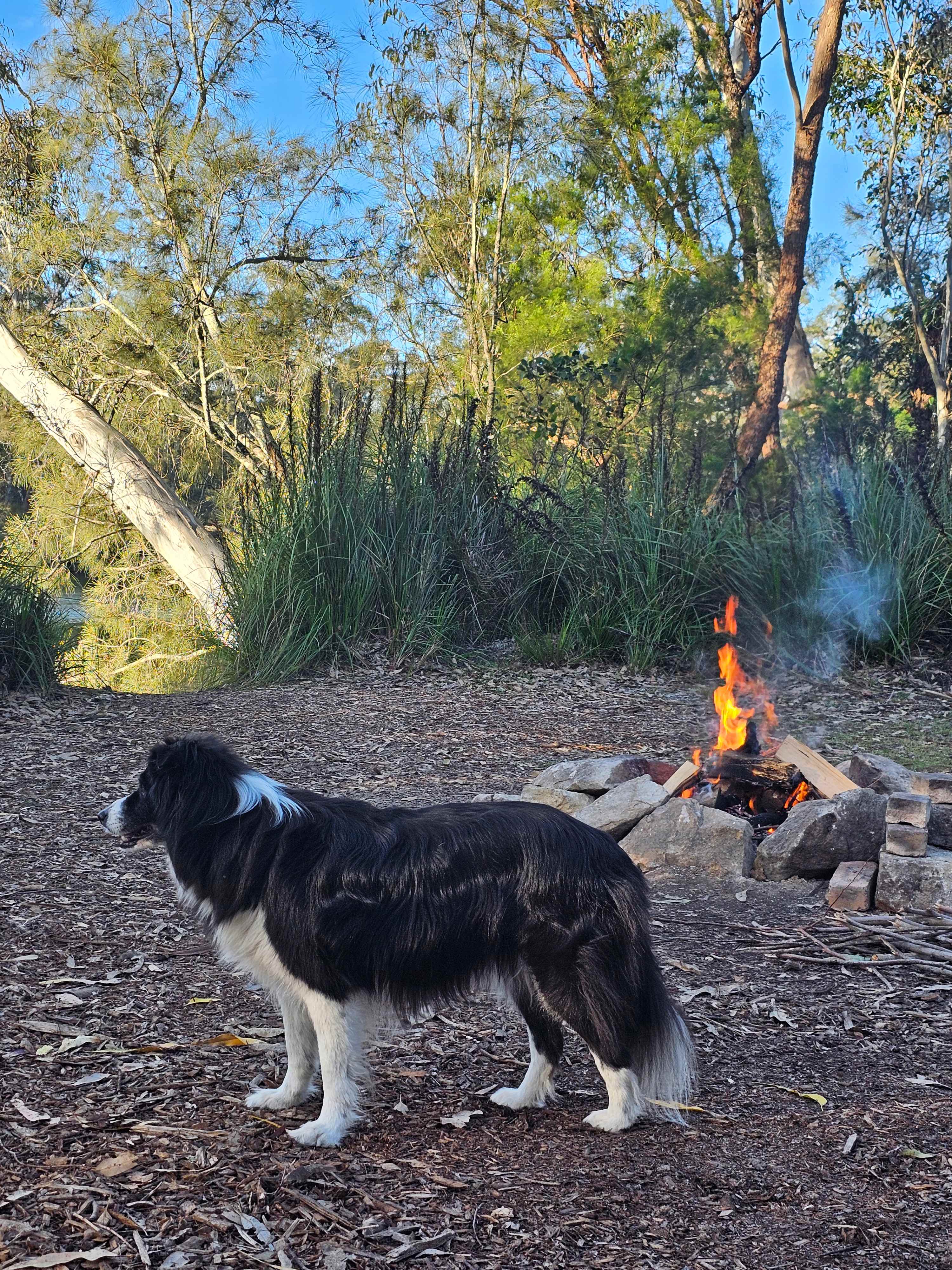 Babbling Brook 4WD Camping