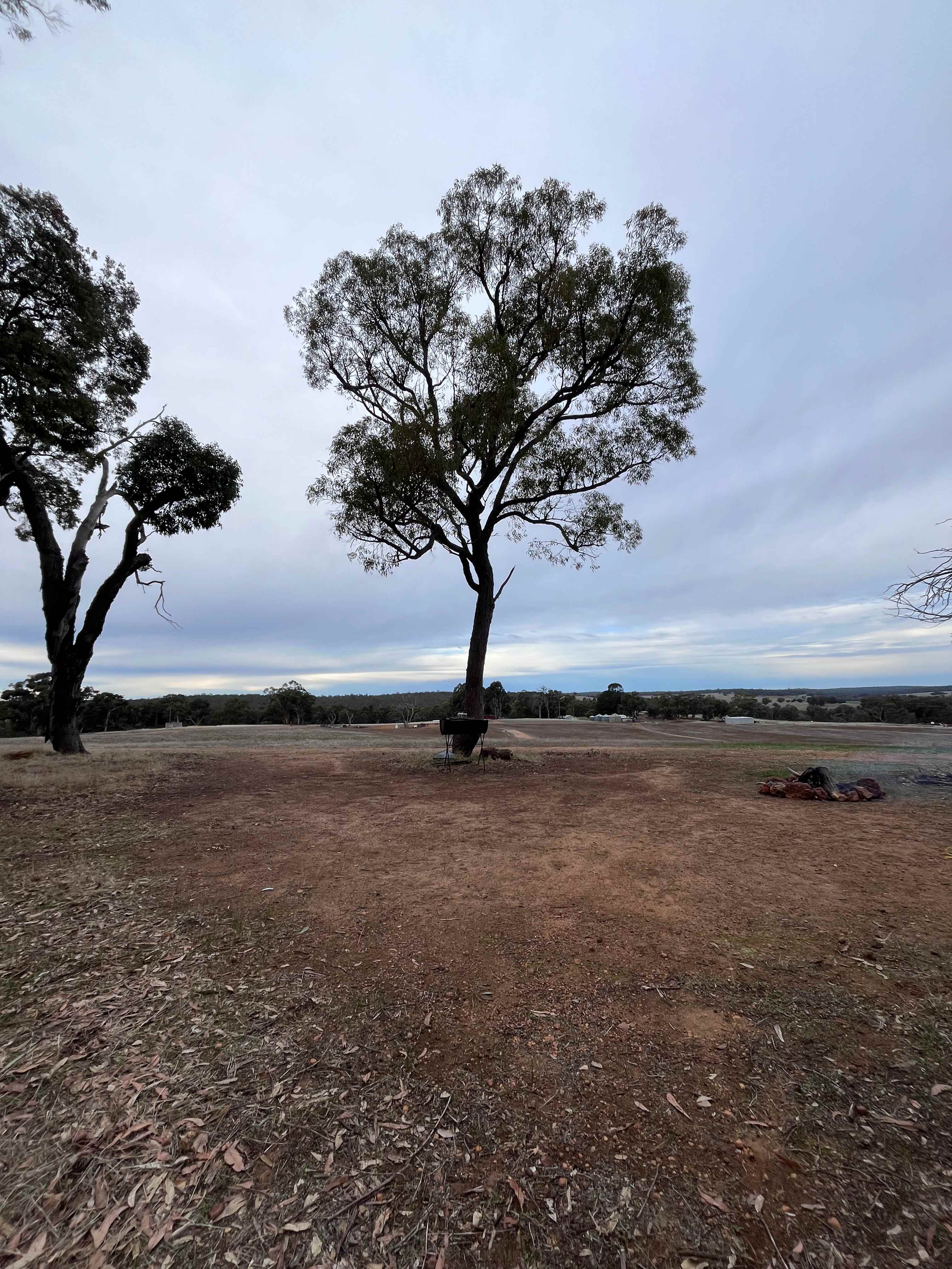 Pinegrove Camping