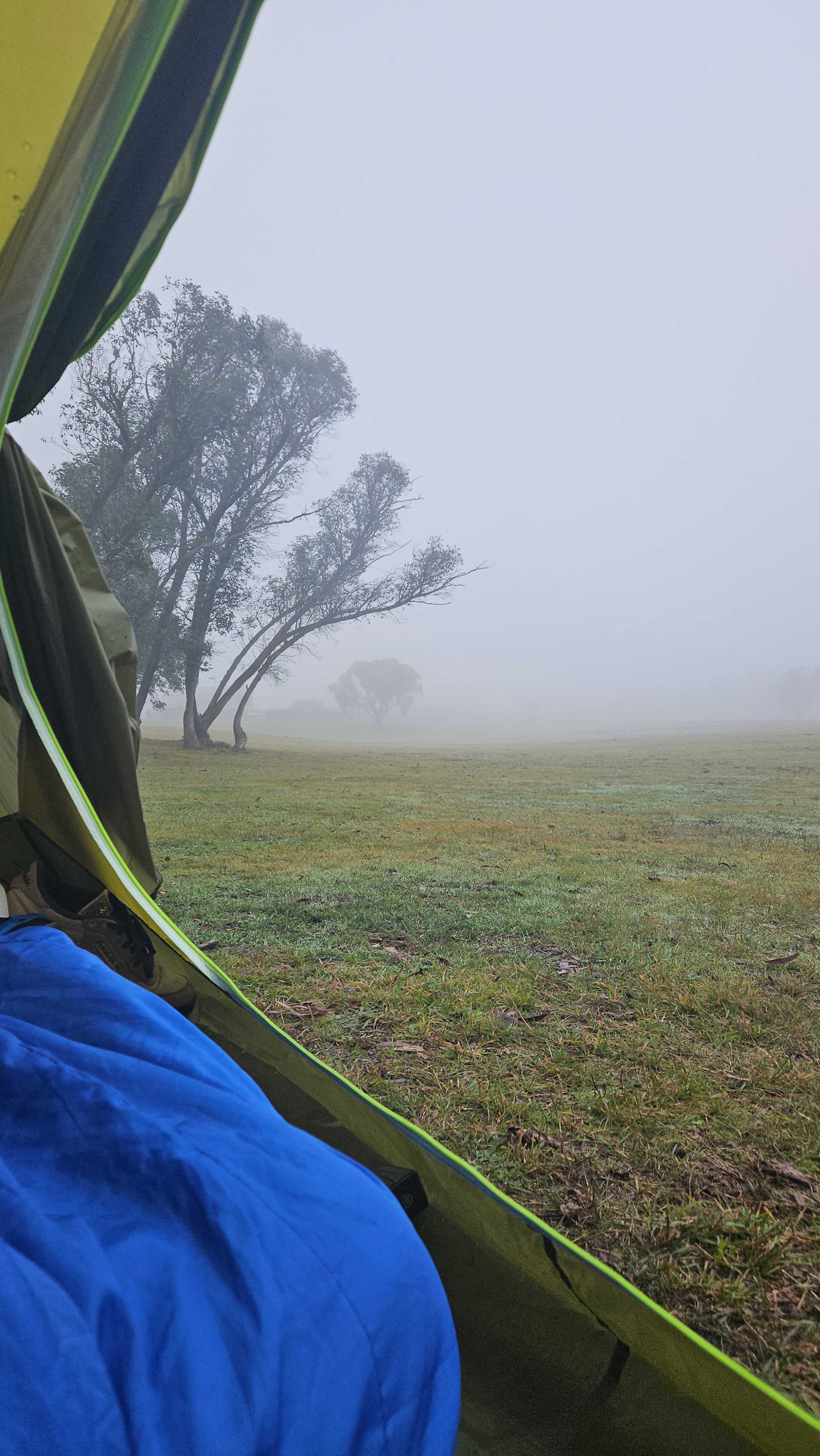 Truffle Farm Camping