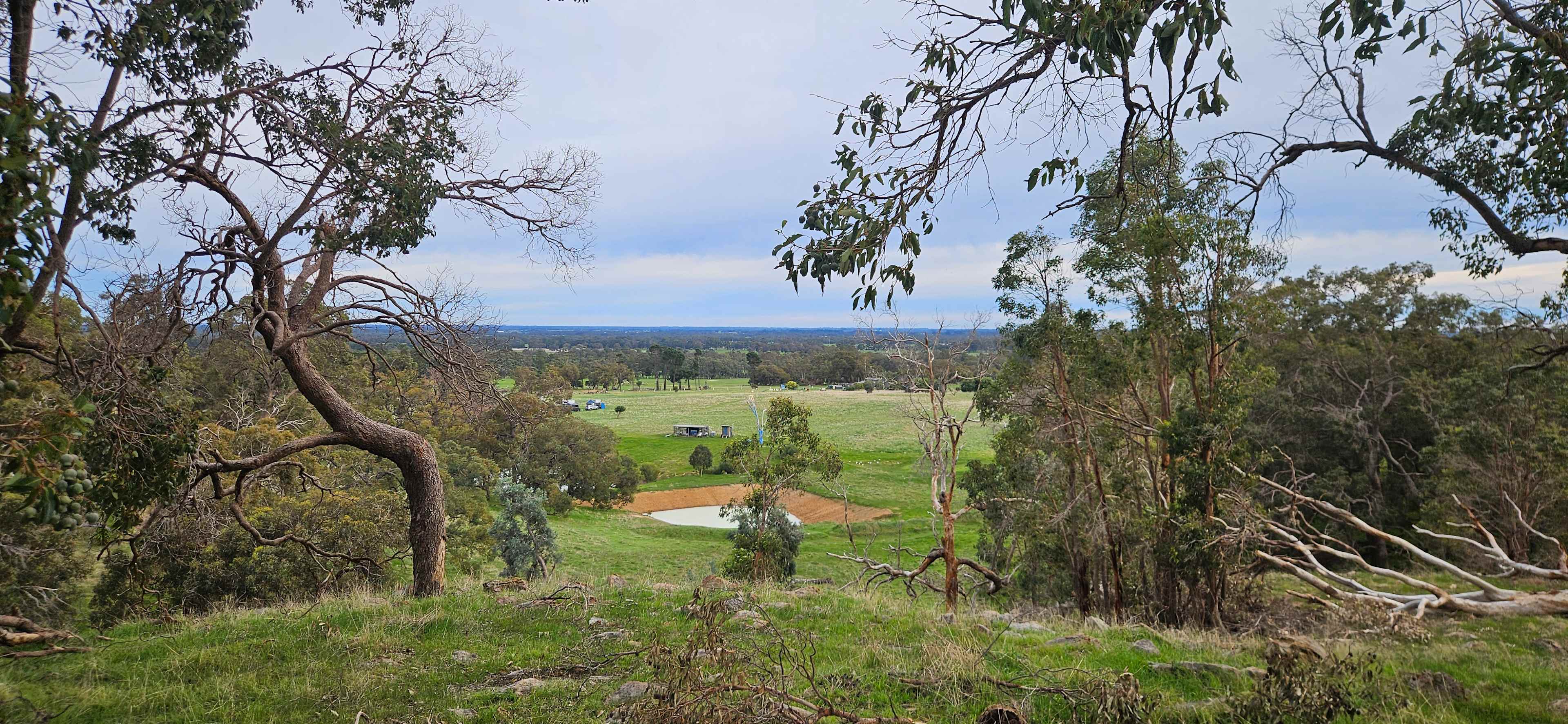 Jacaranda Hill Farm