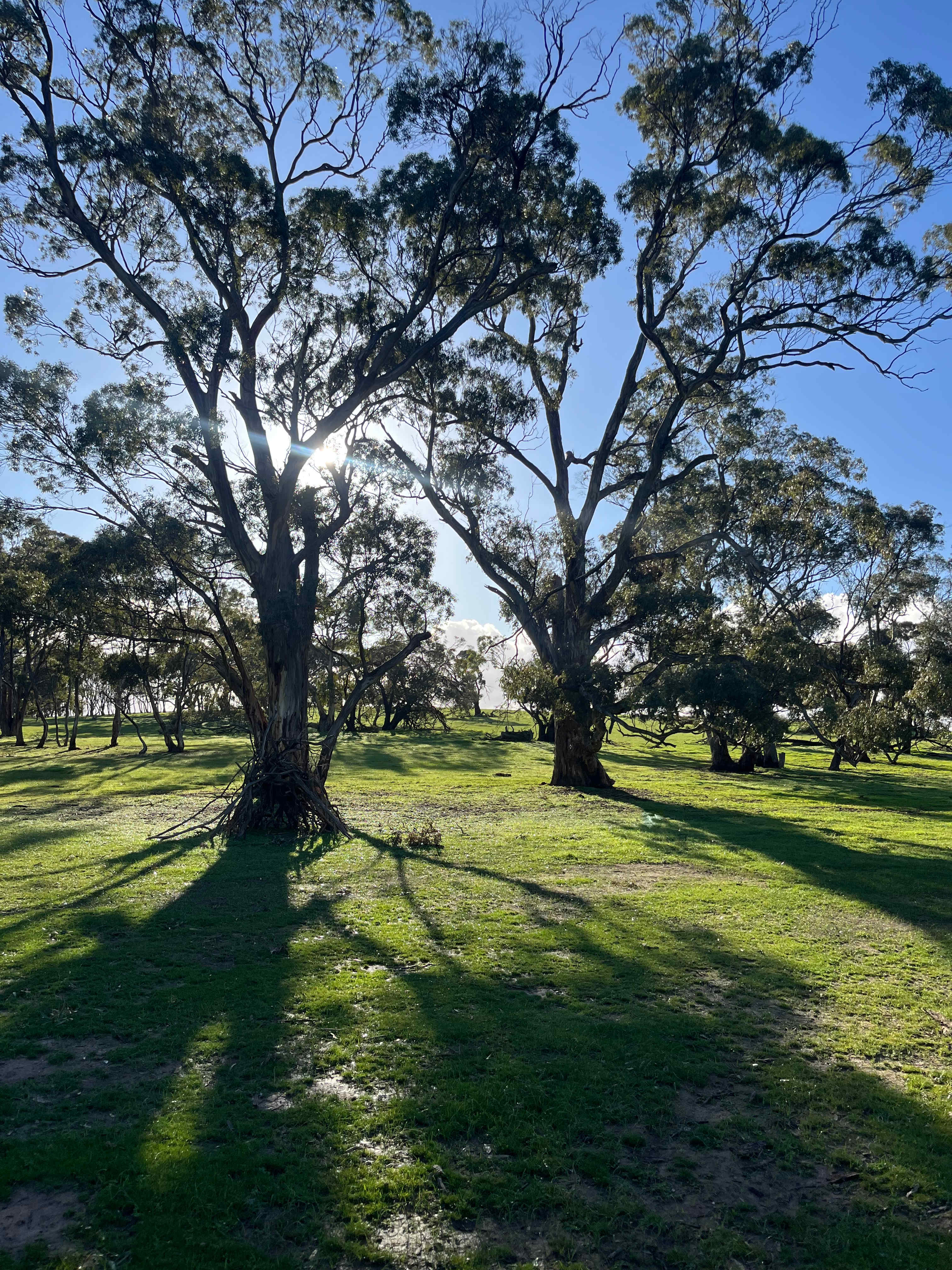 Edgehill Farm Stays Riverton