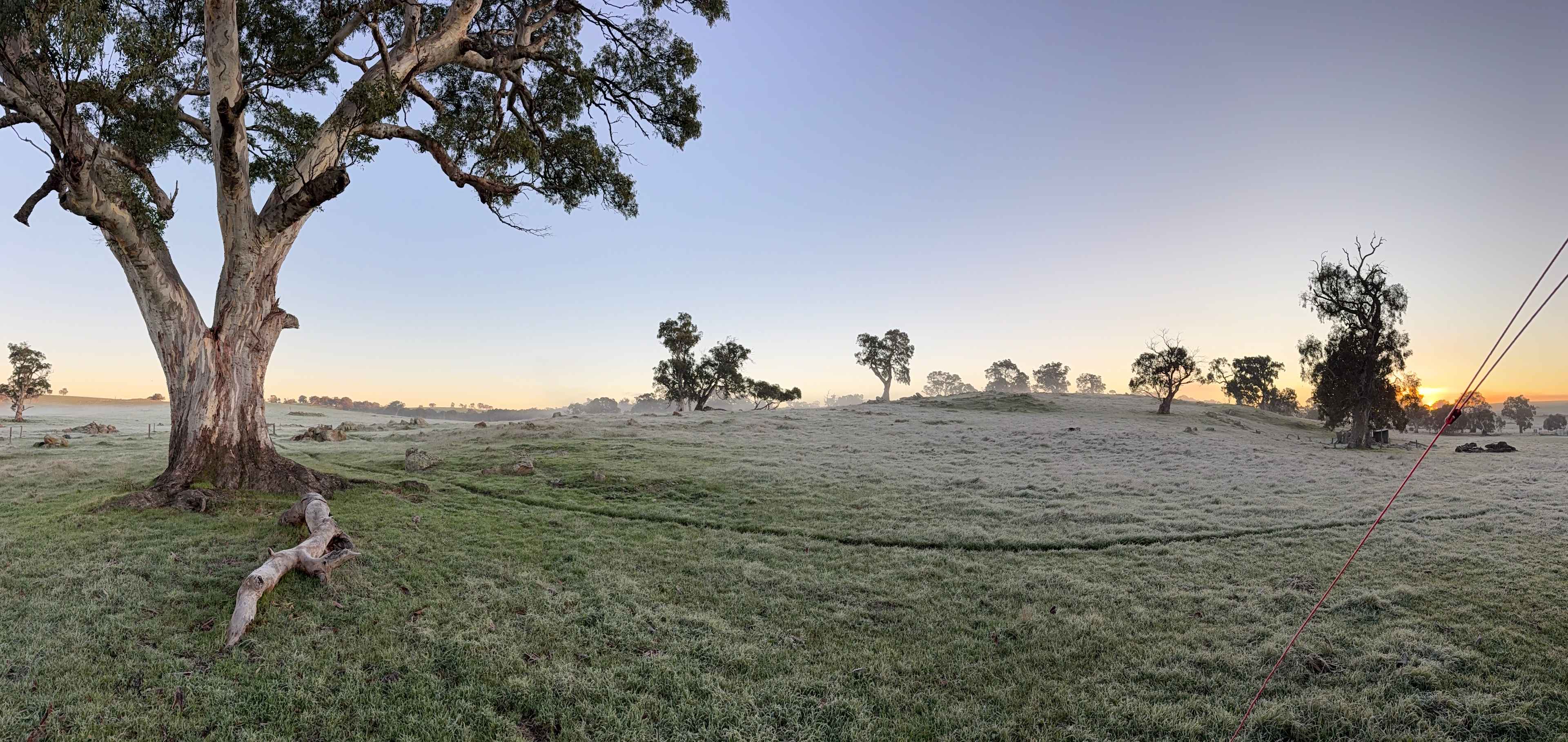 The Valley of Eden - Barossa