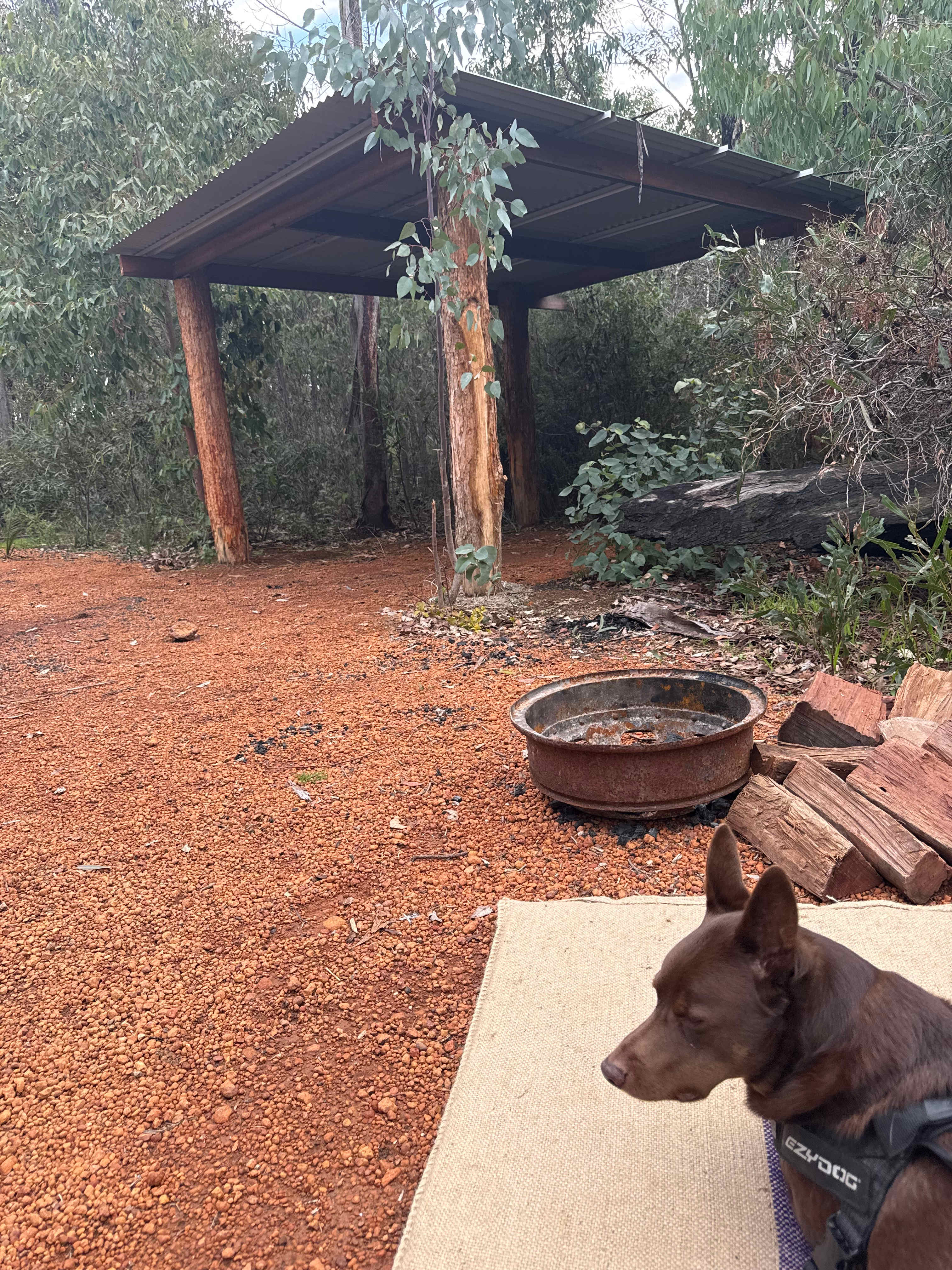 Murray Valley Camping