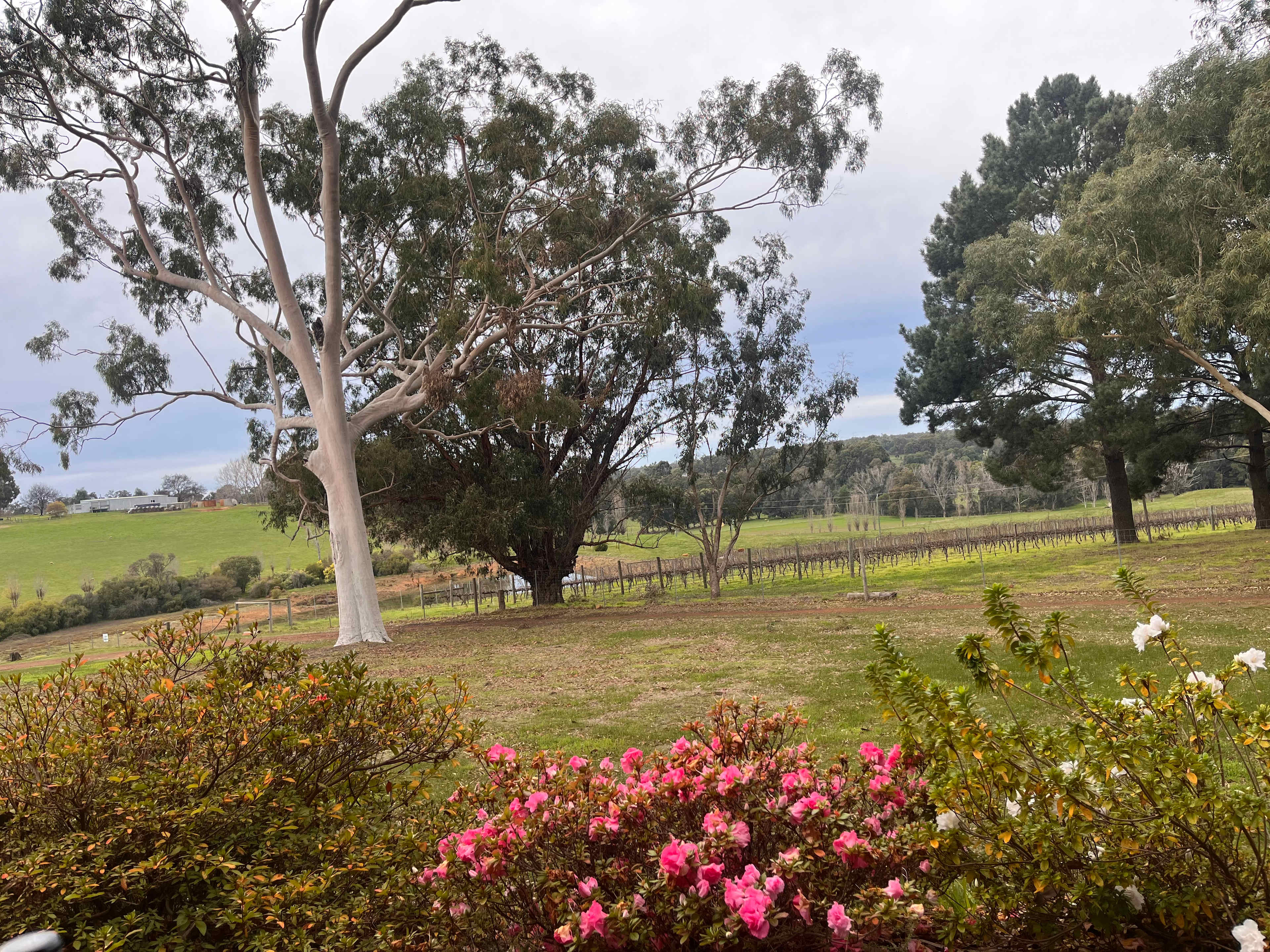 Amber Ridge Estate