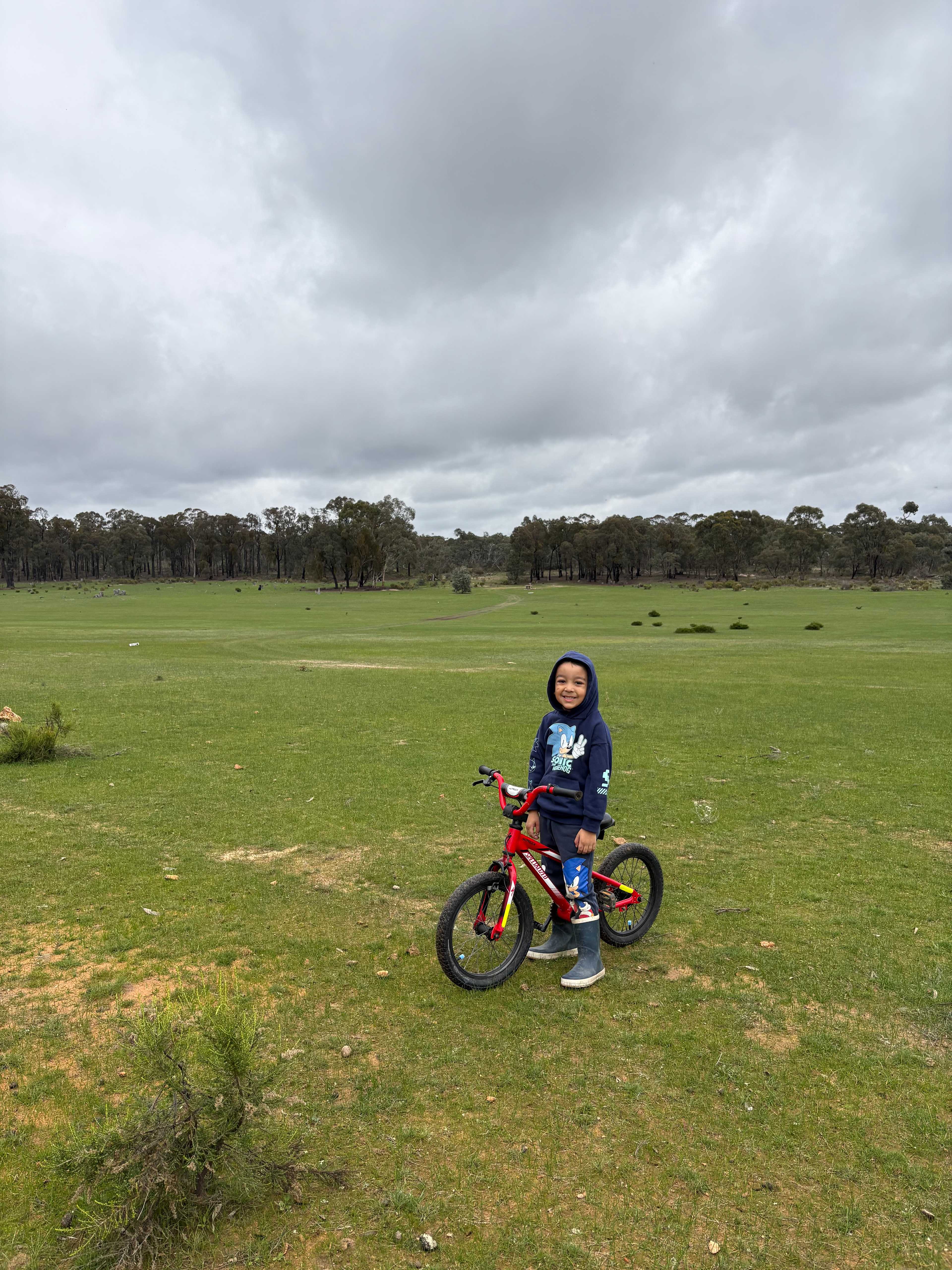 Somerville Park (Bendigo)
