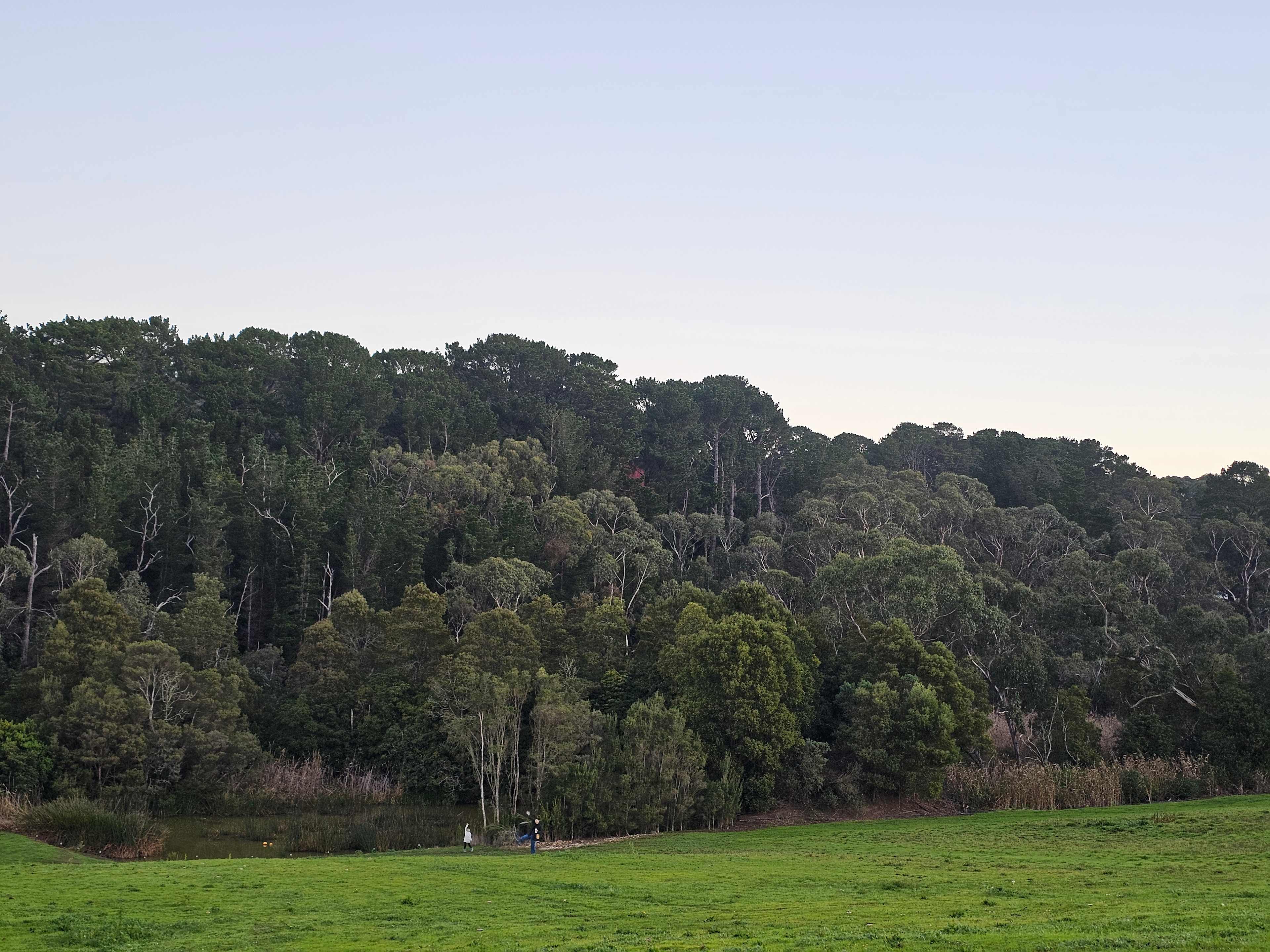 Red Hill Orchard Farm Stay