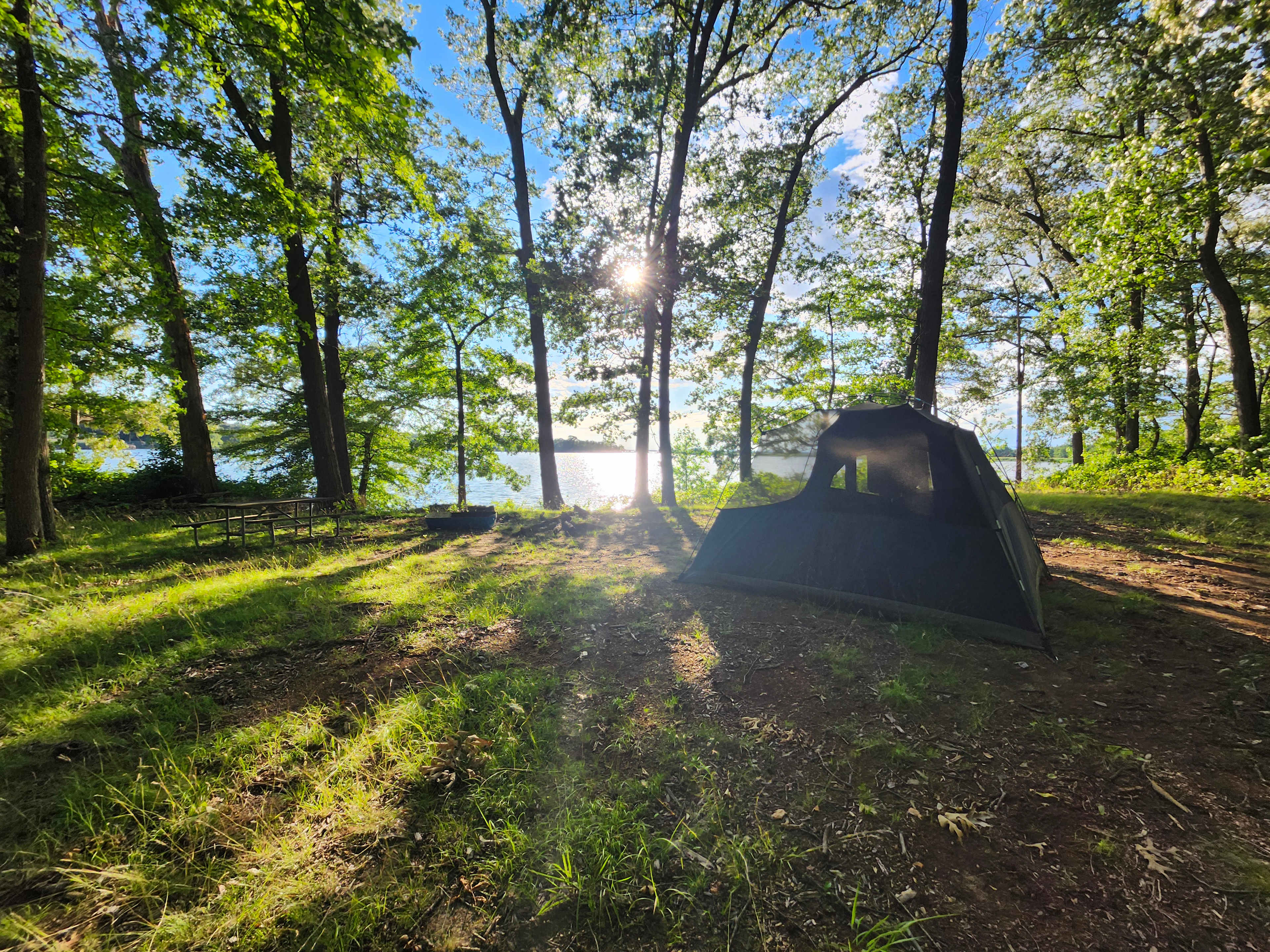Picture of the site