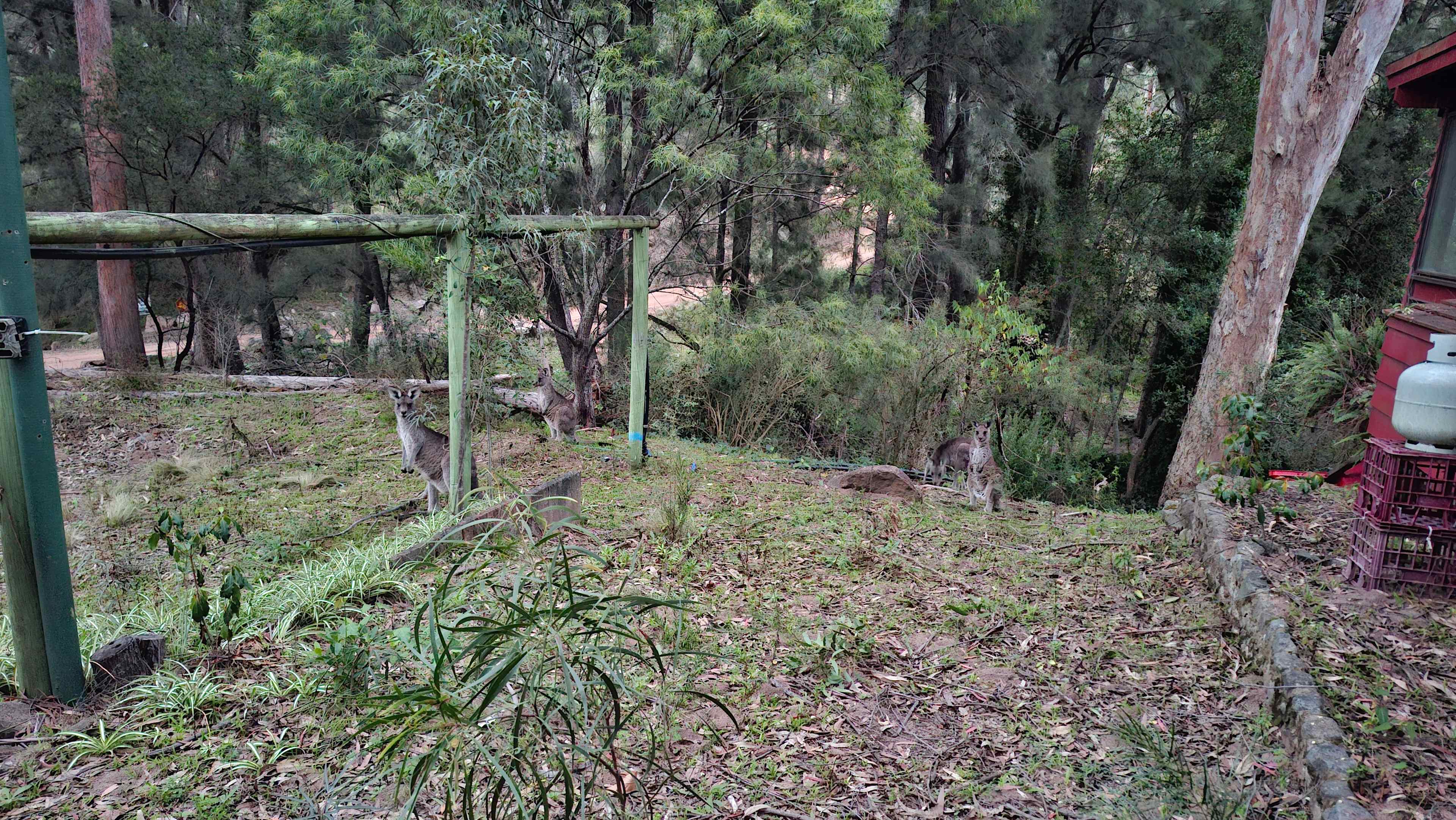 K2 River Island Nature Retreat