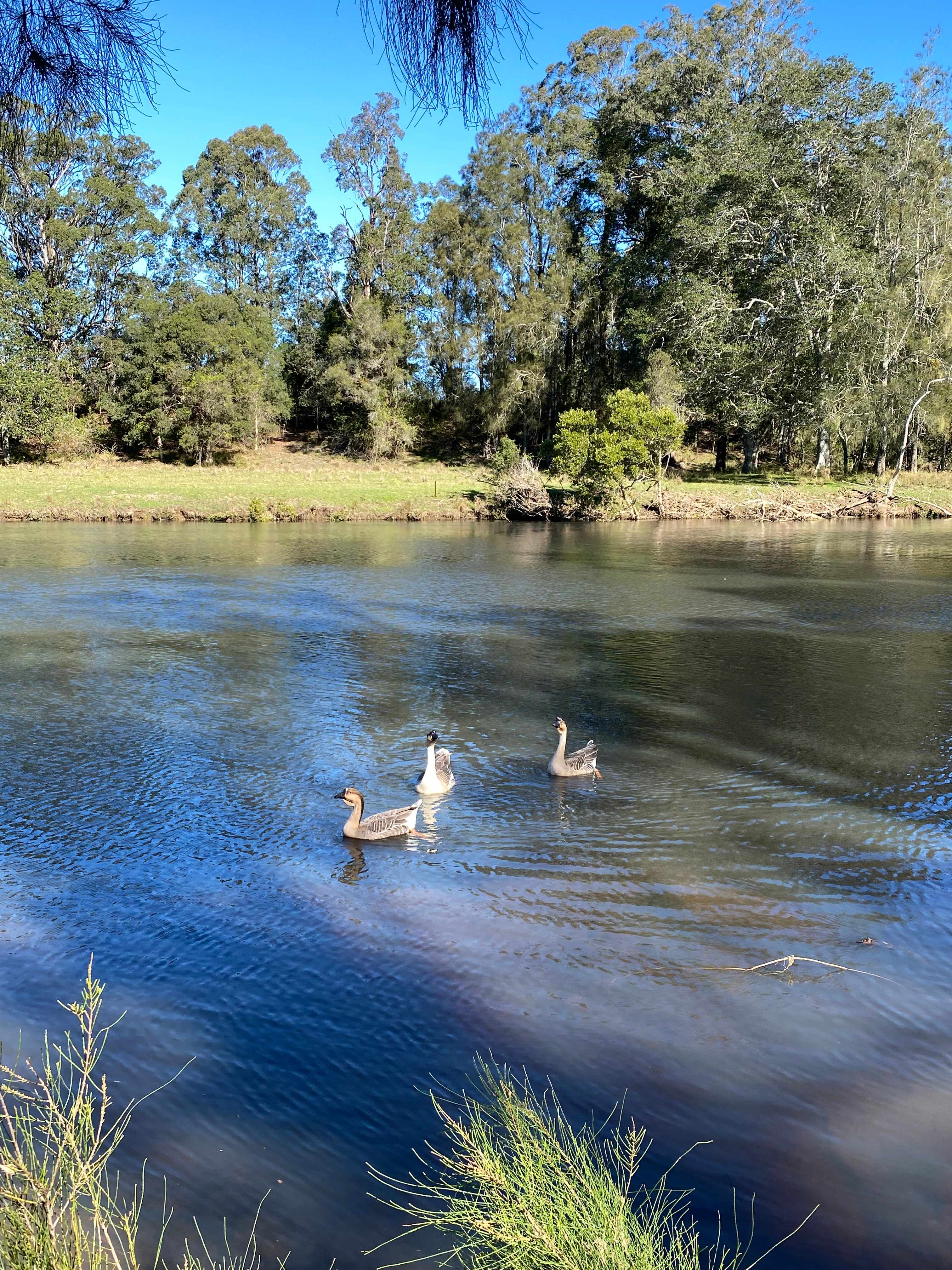The Riverside Farm Escape Minimbah