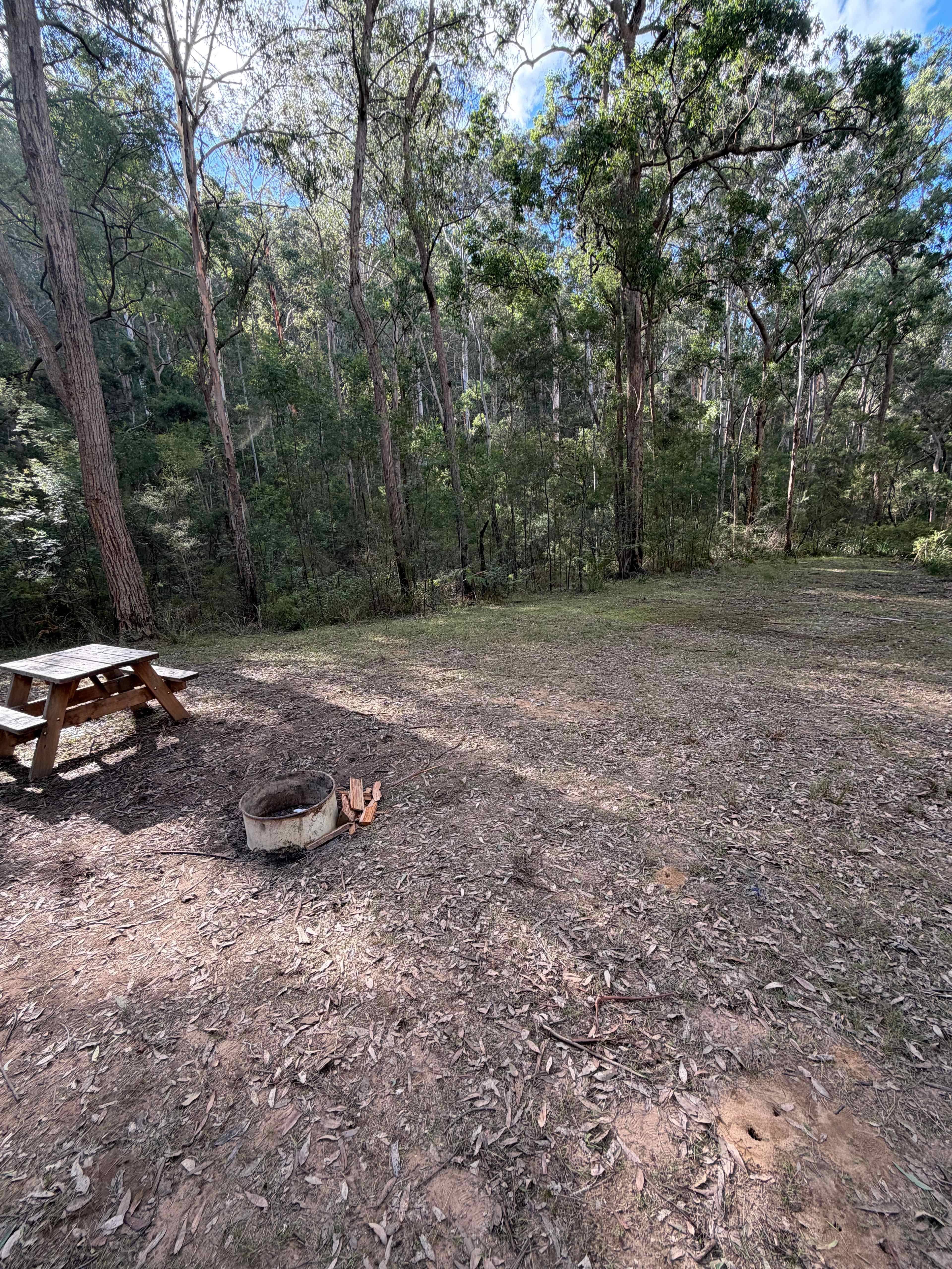 Picture of the site