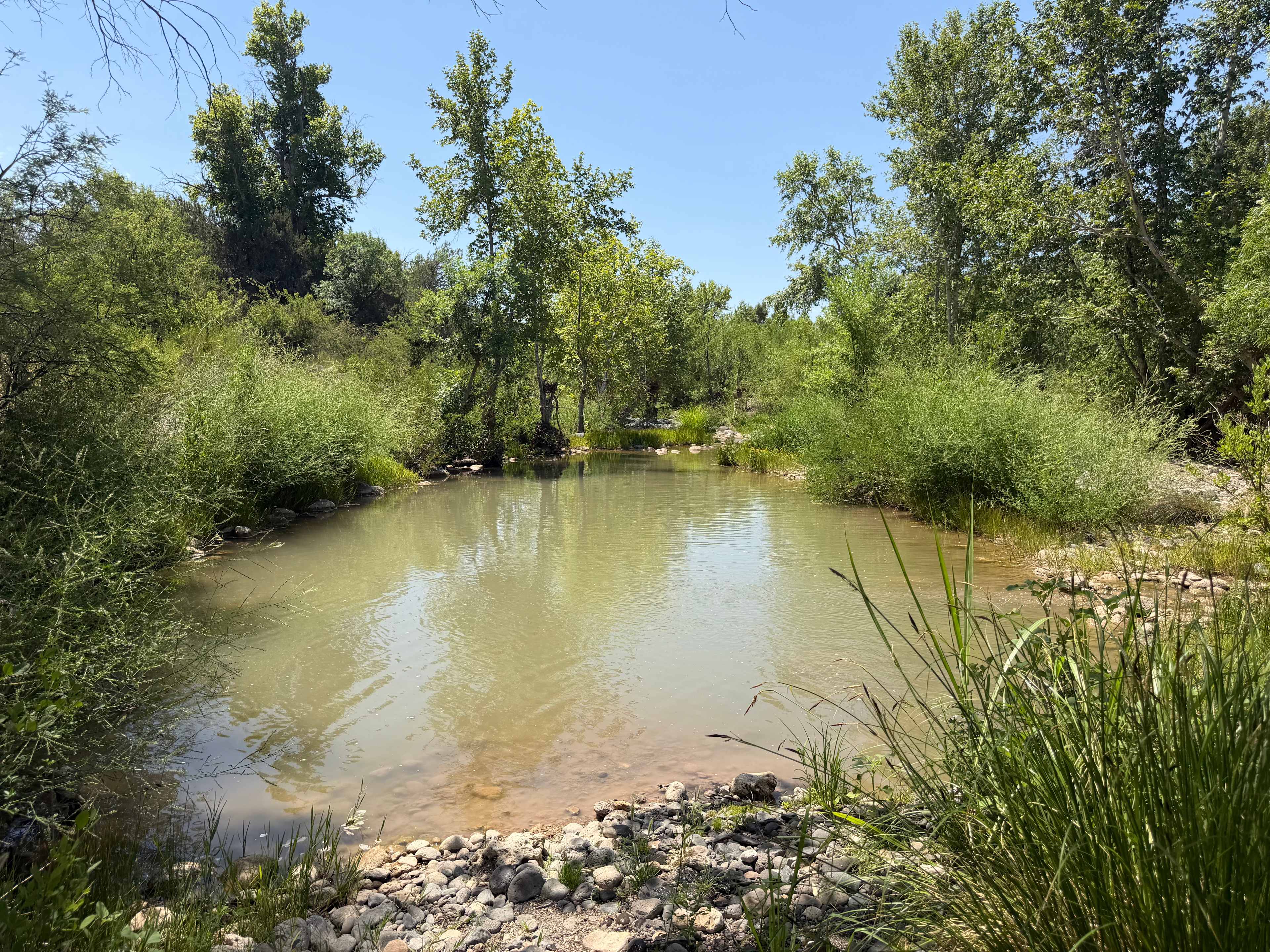 Beaver Creek Oasis