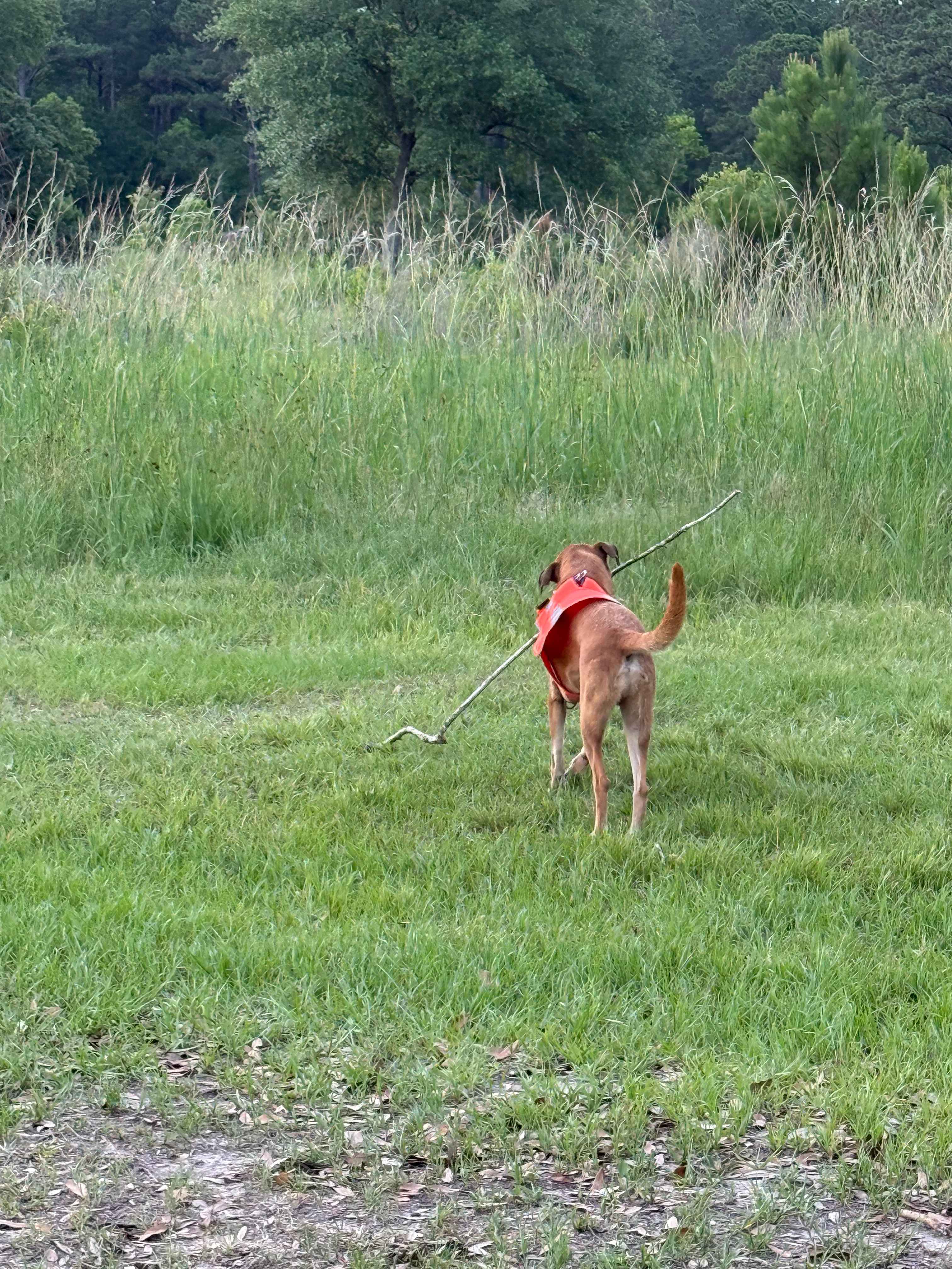 Bennetts Point 31