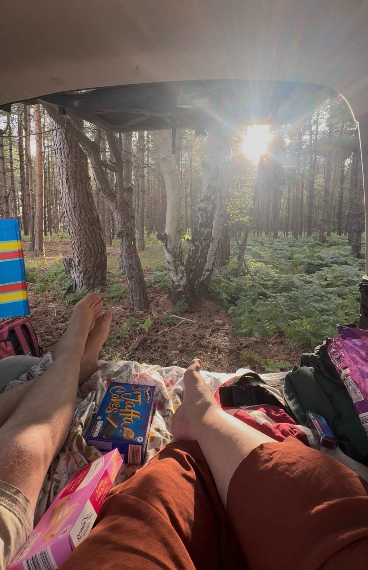 Holistic Woods Wild Campsite