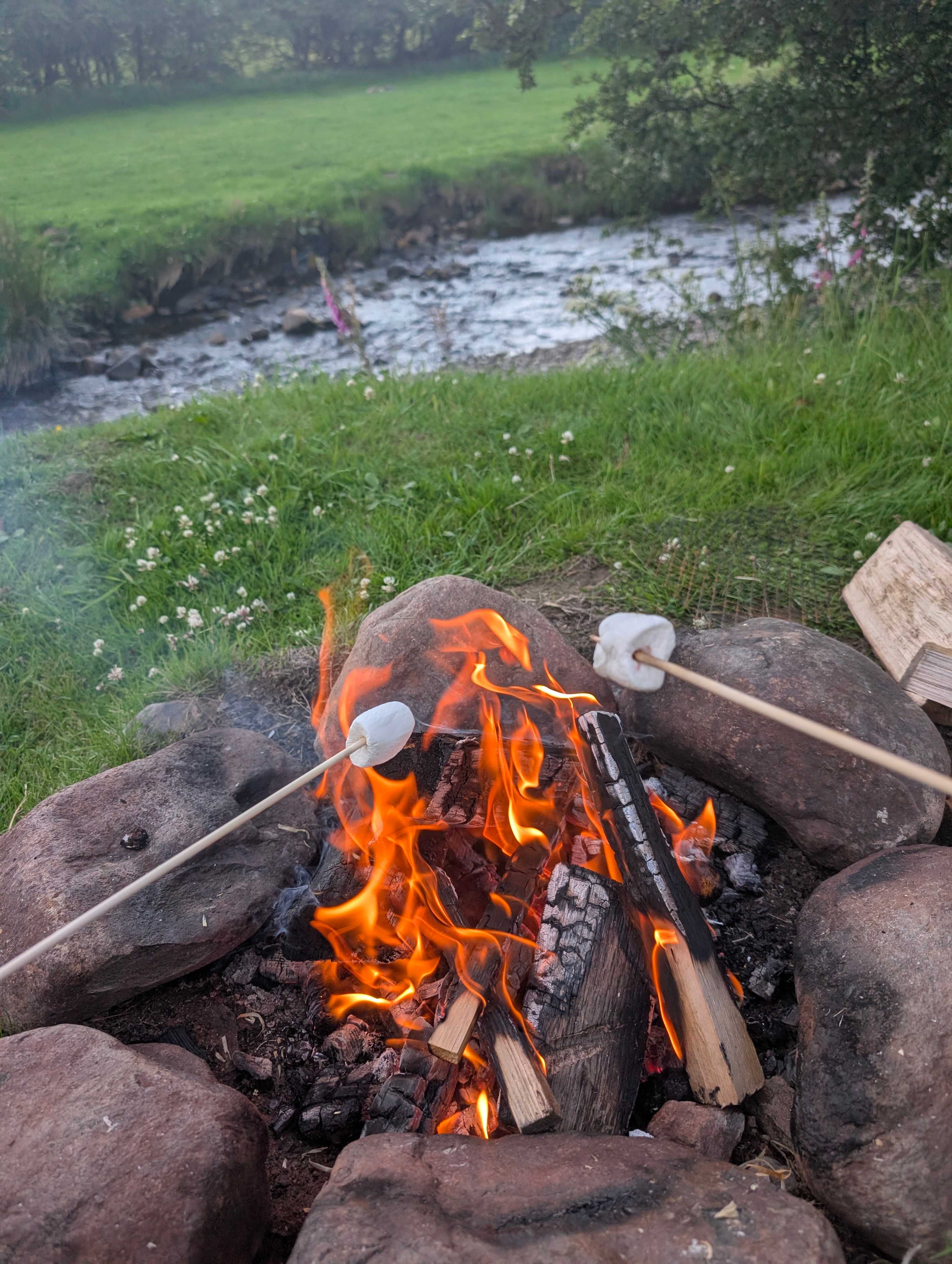 Baystone Bank Farm Campsite