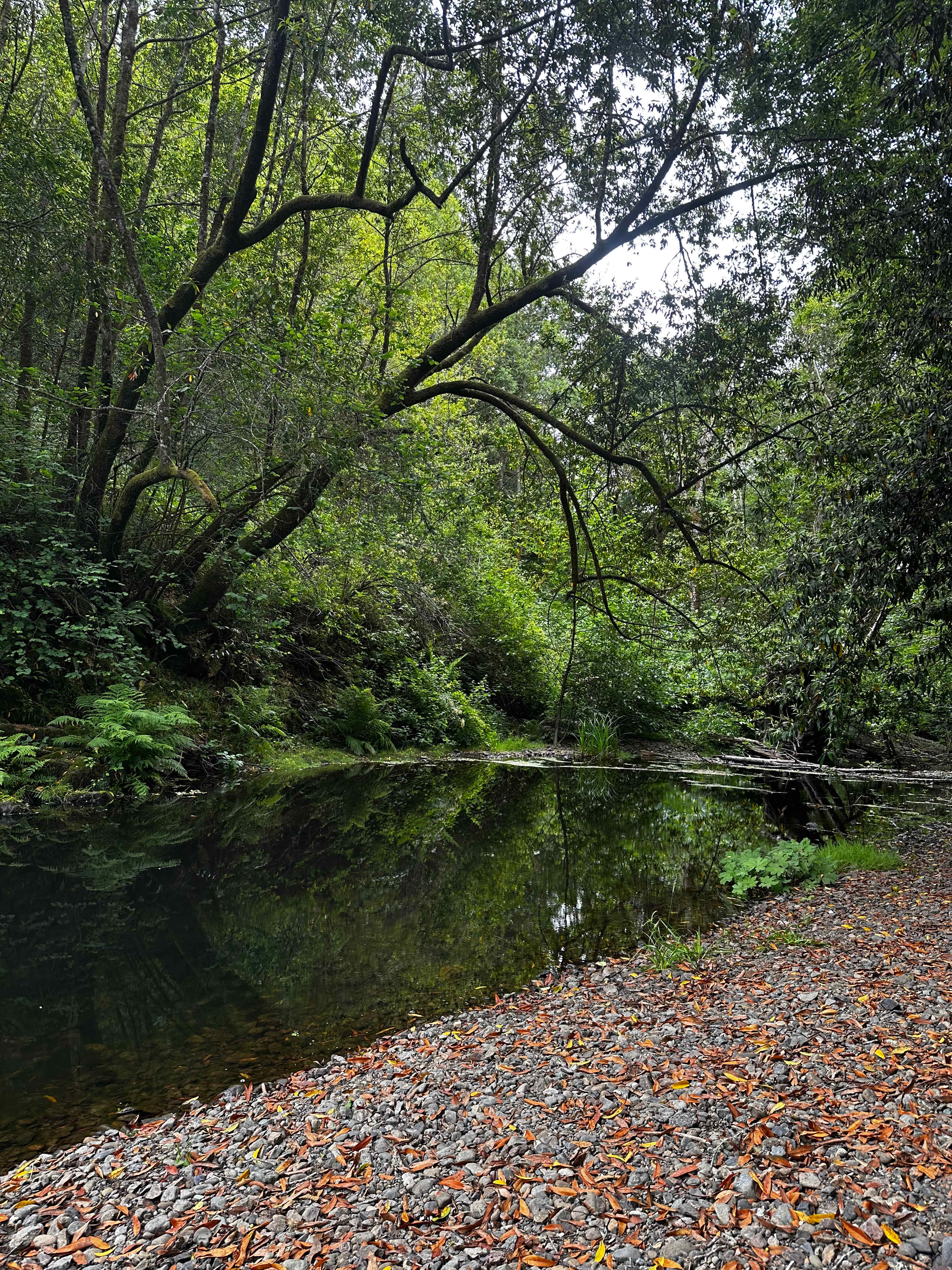 Creekside 3