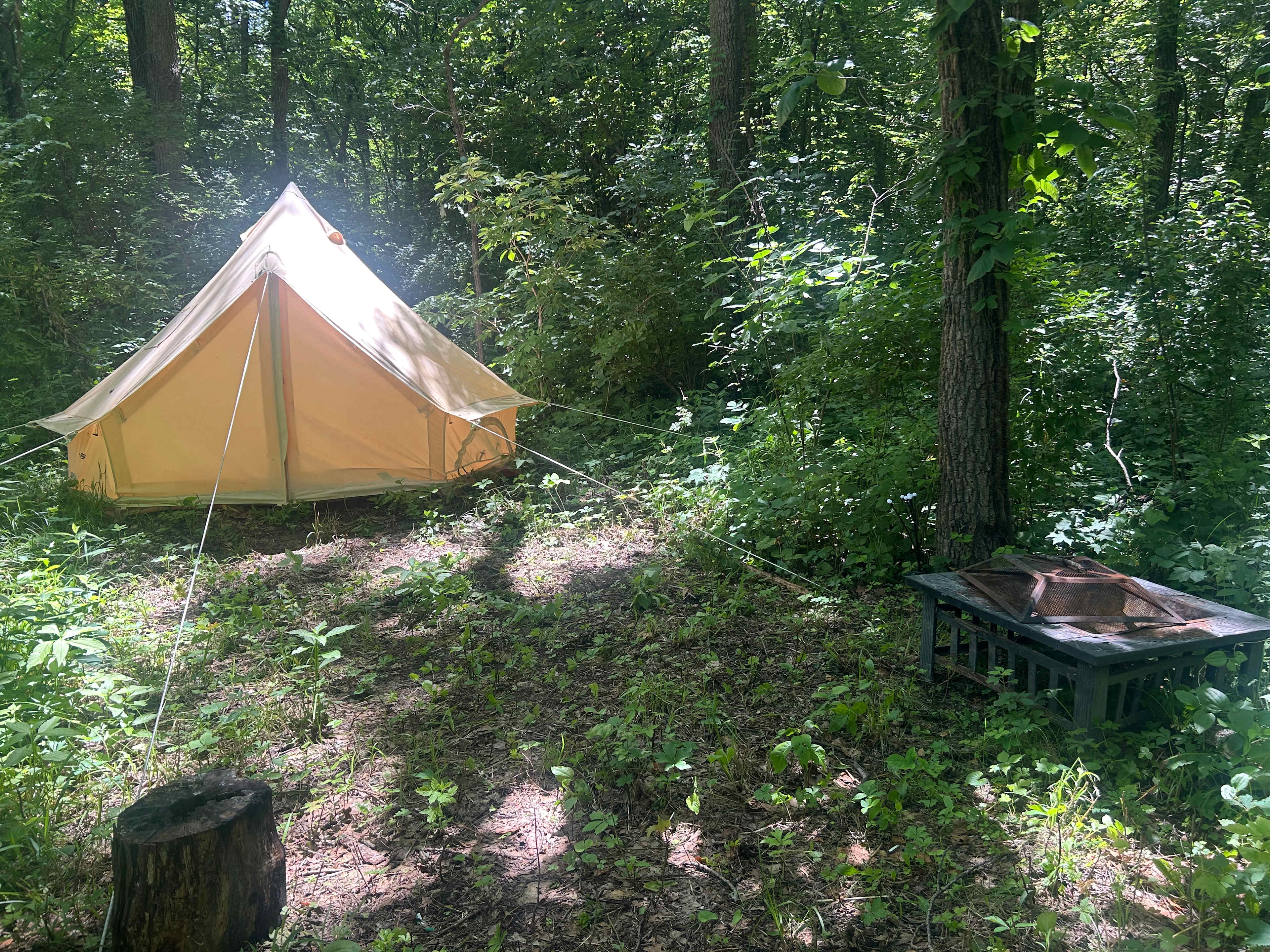 Picture of the site