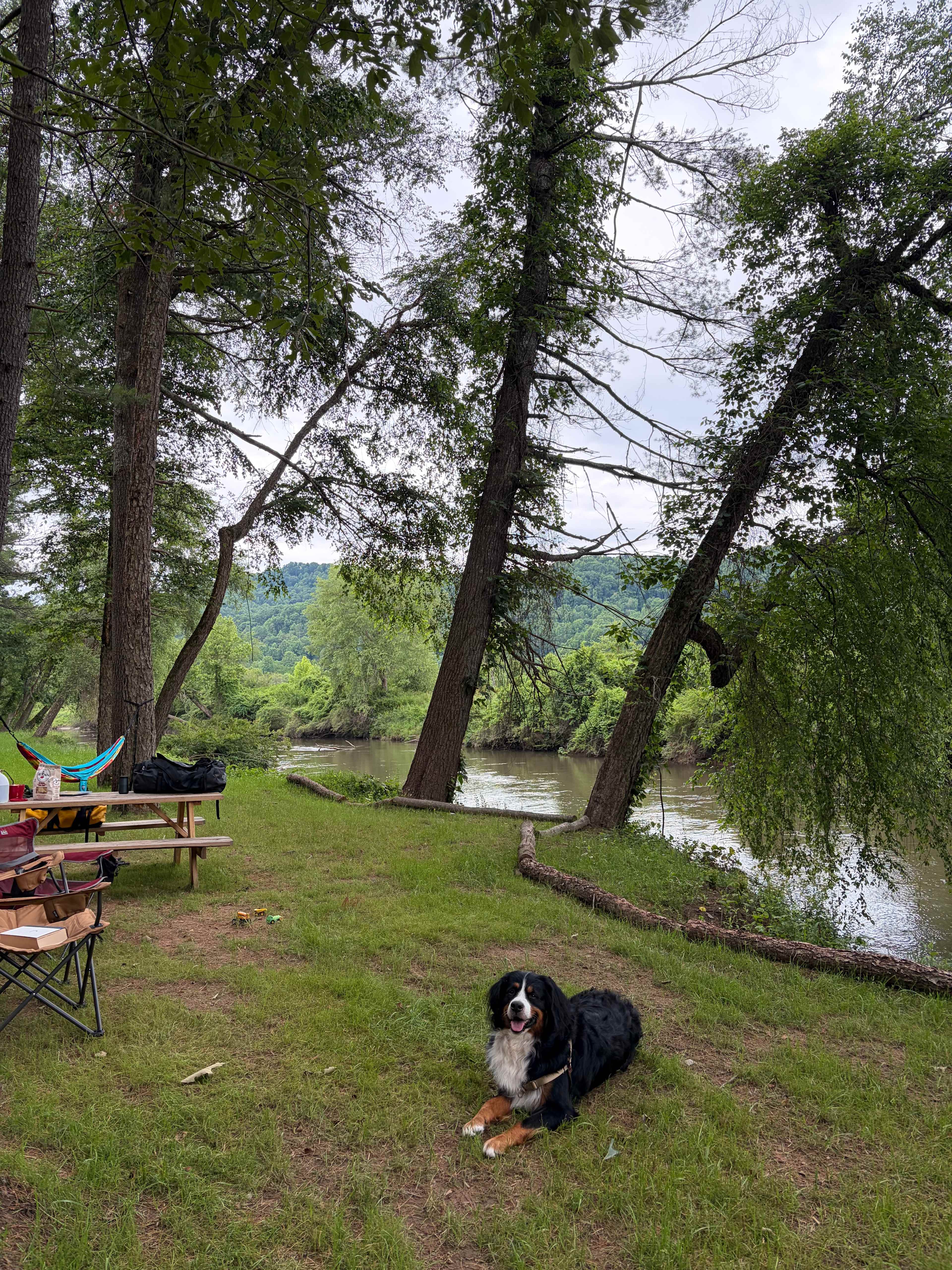 The Riverview Farm