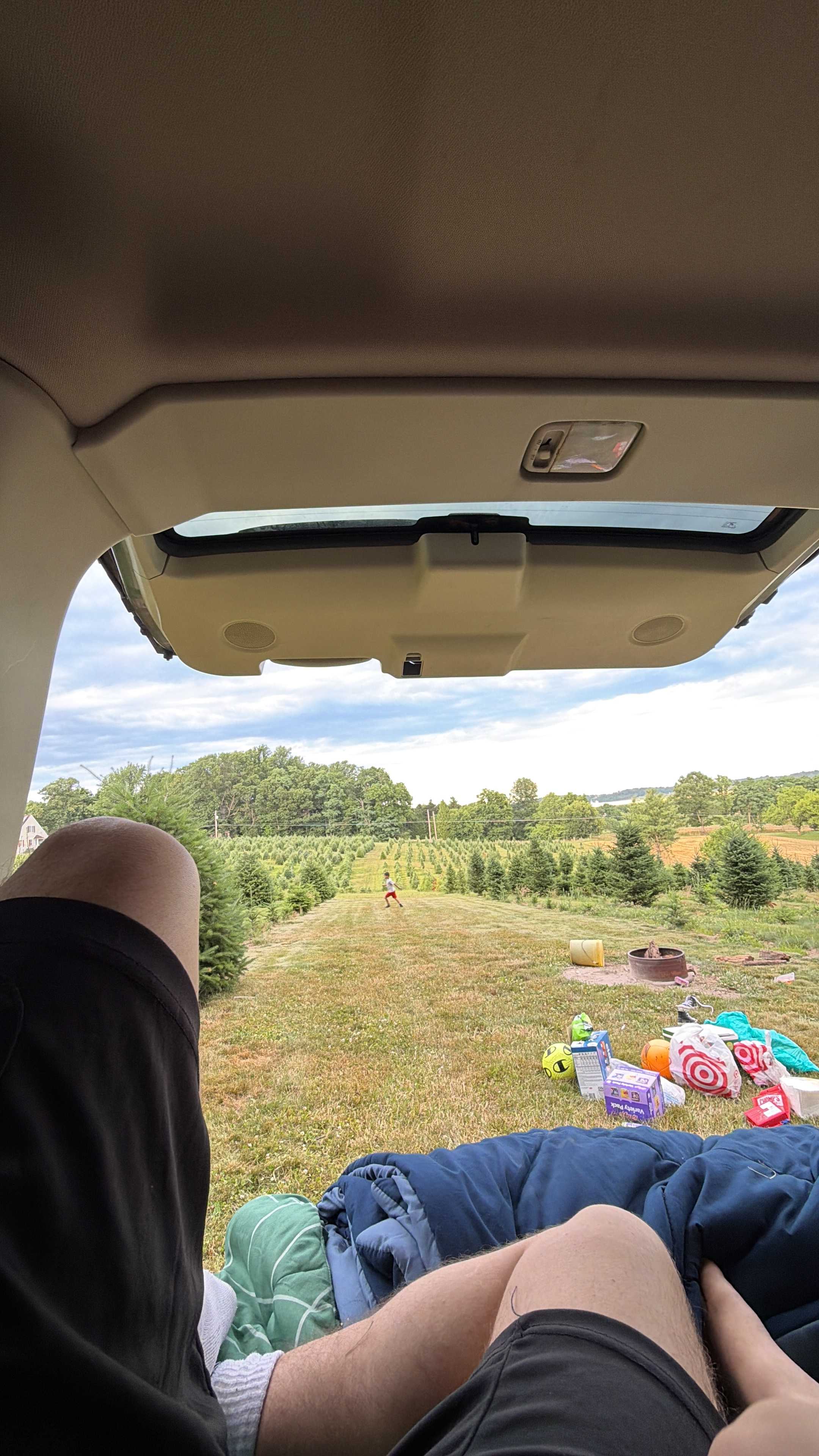 Christmas Tree Farm with Views