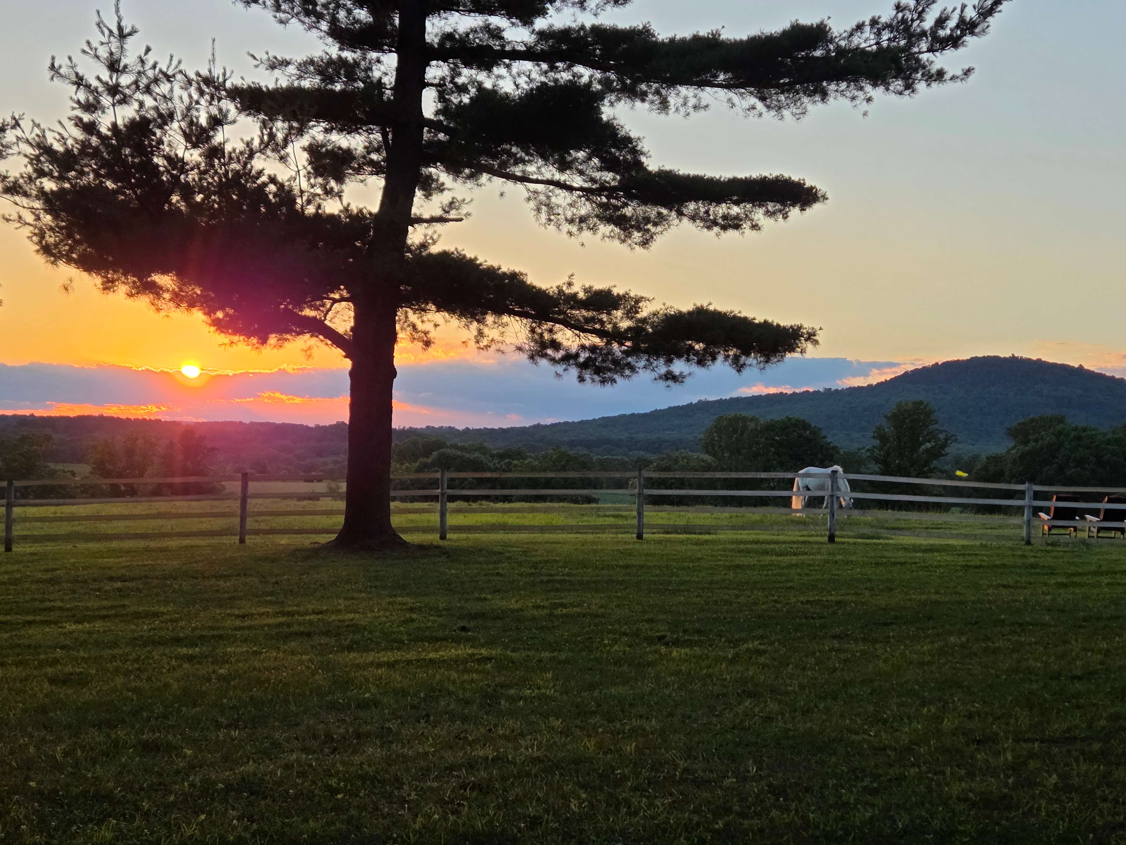 Camp Comus, LLC