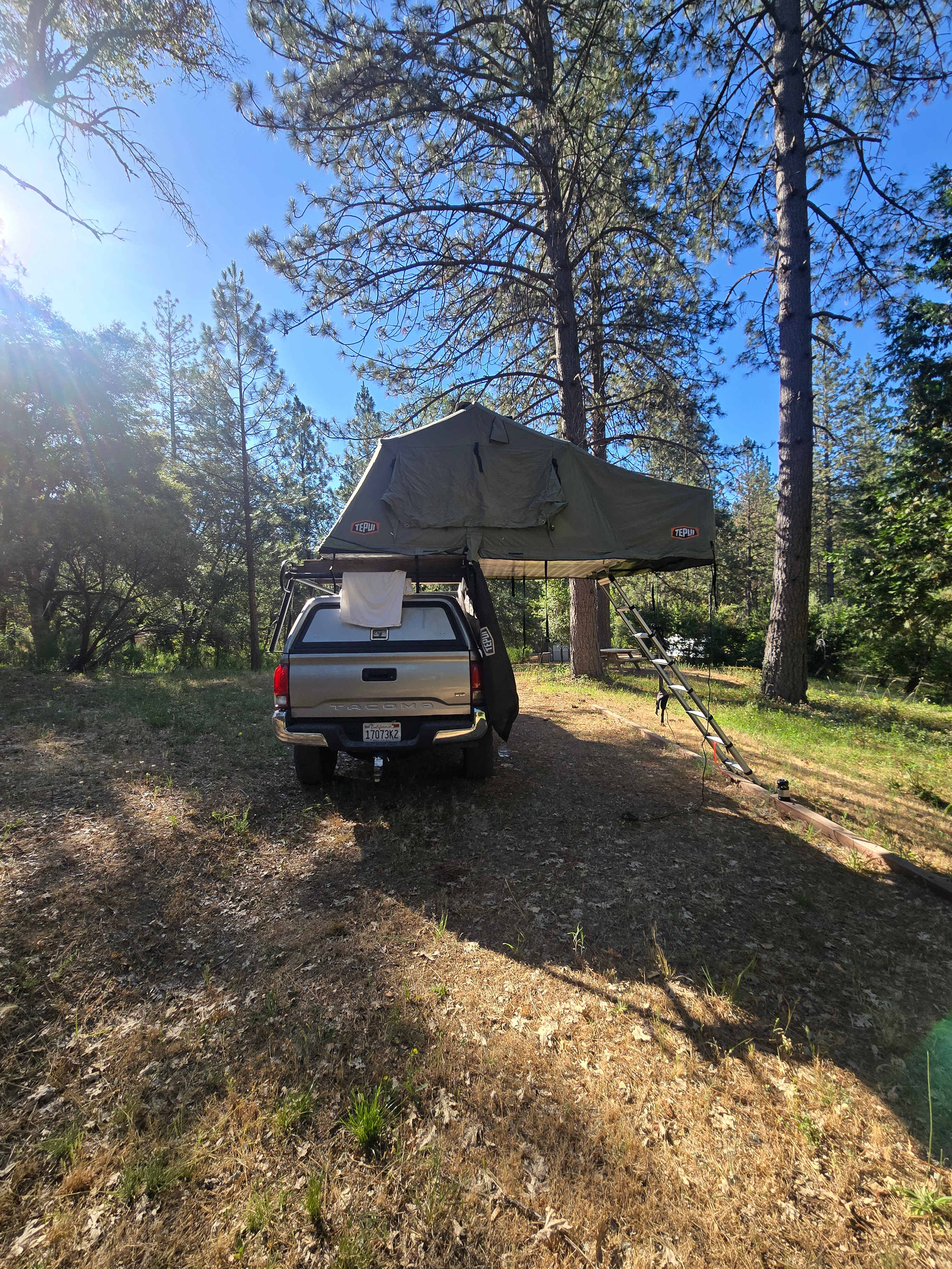 Sierra Waters Homestead