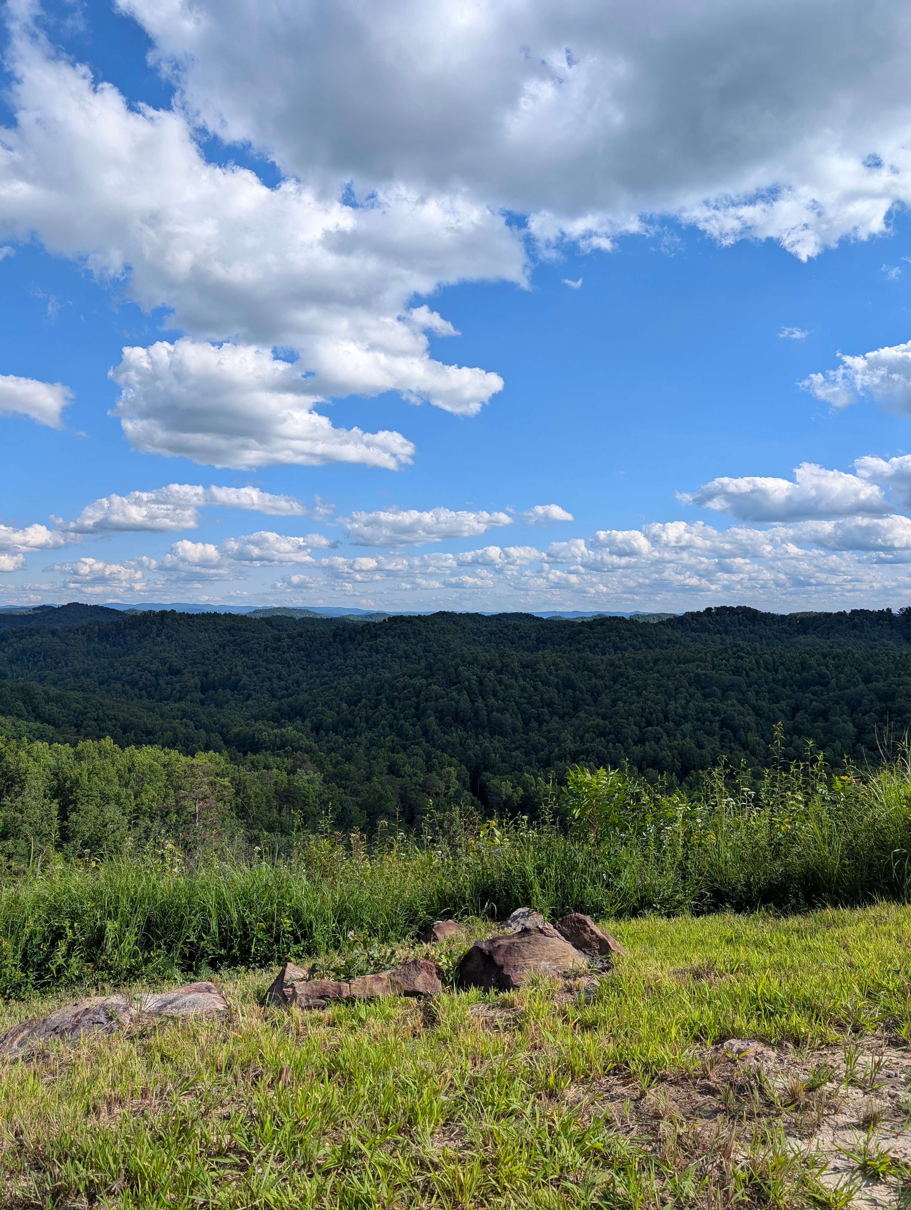 Gray Hills