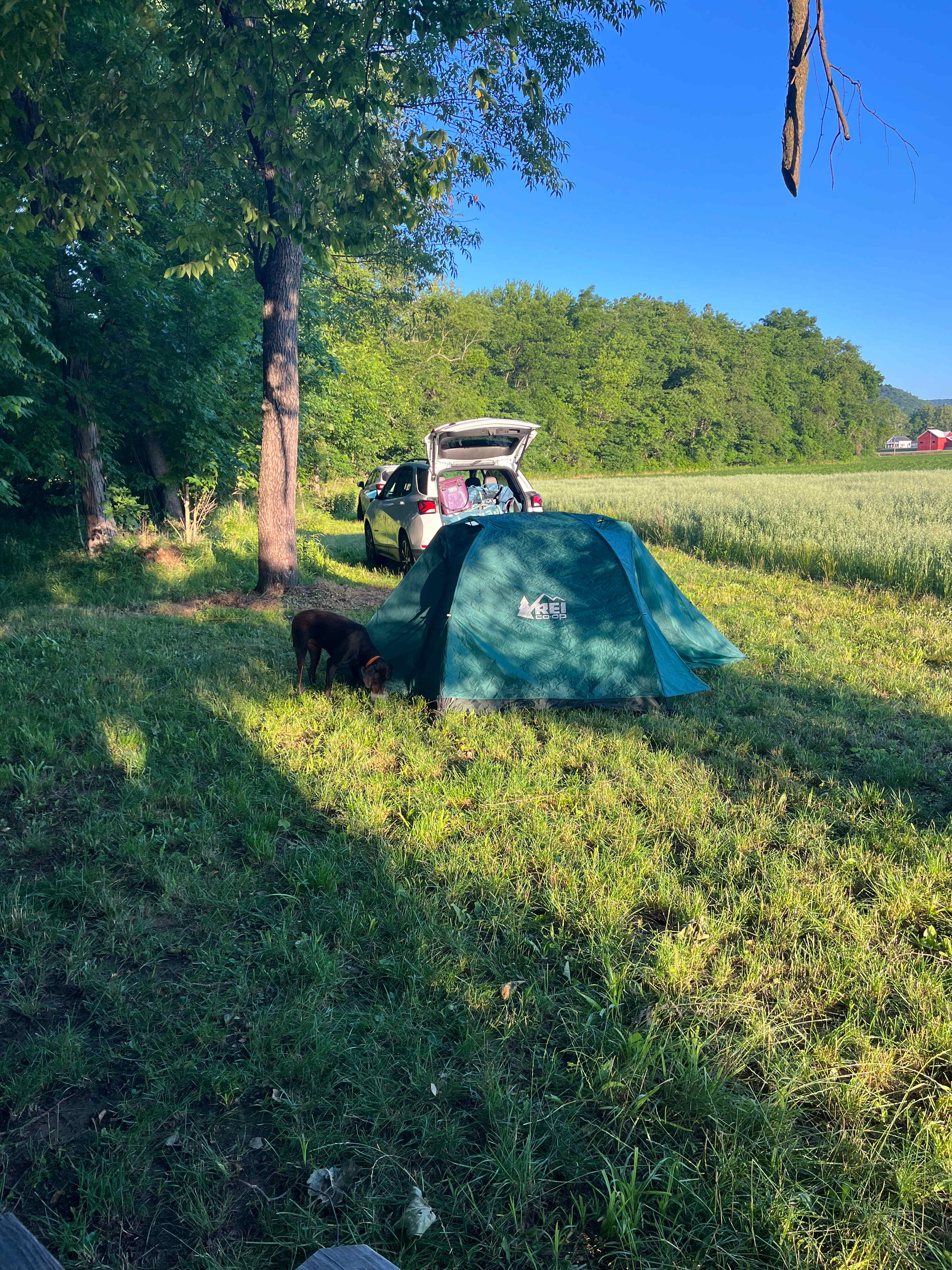 Farm on the Creek