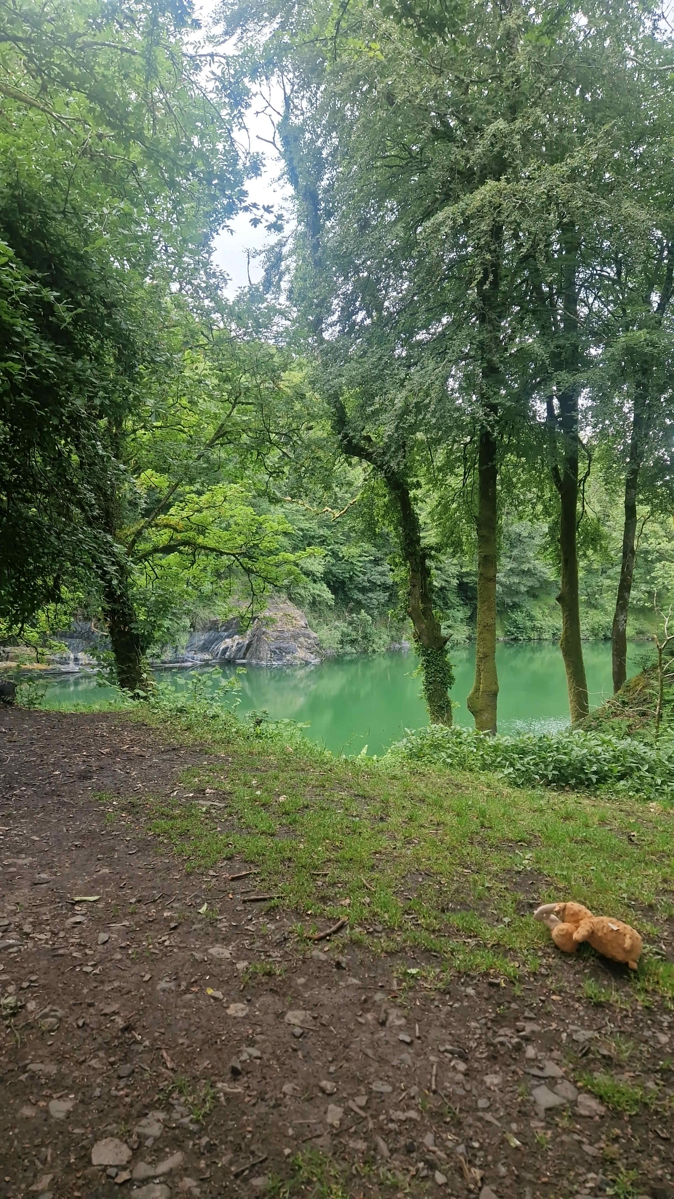 Meldon Lake and Woods Wild Camping