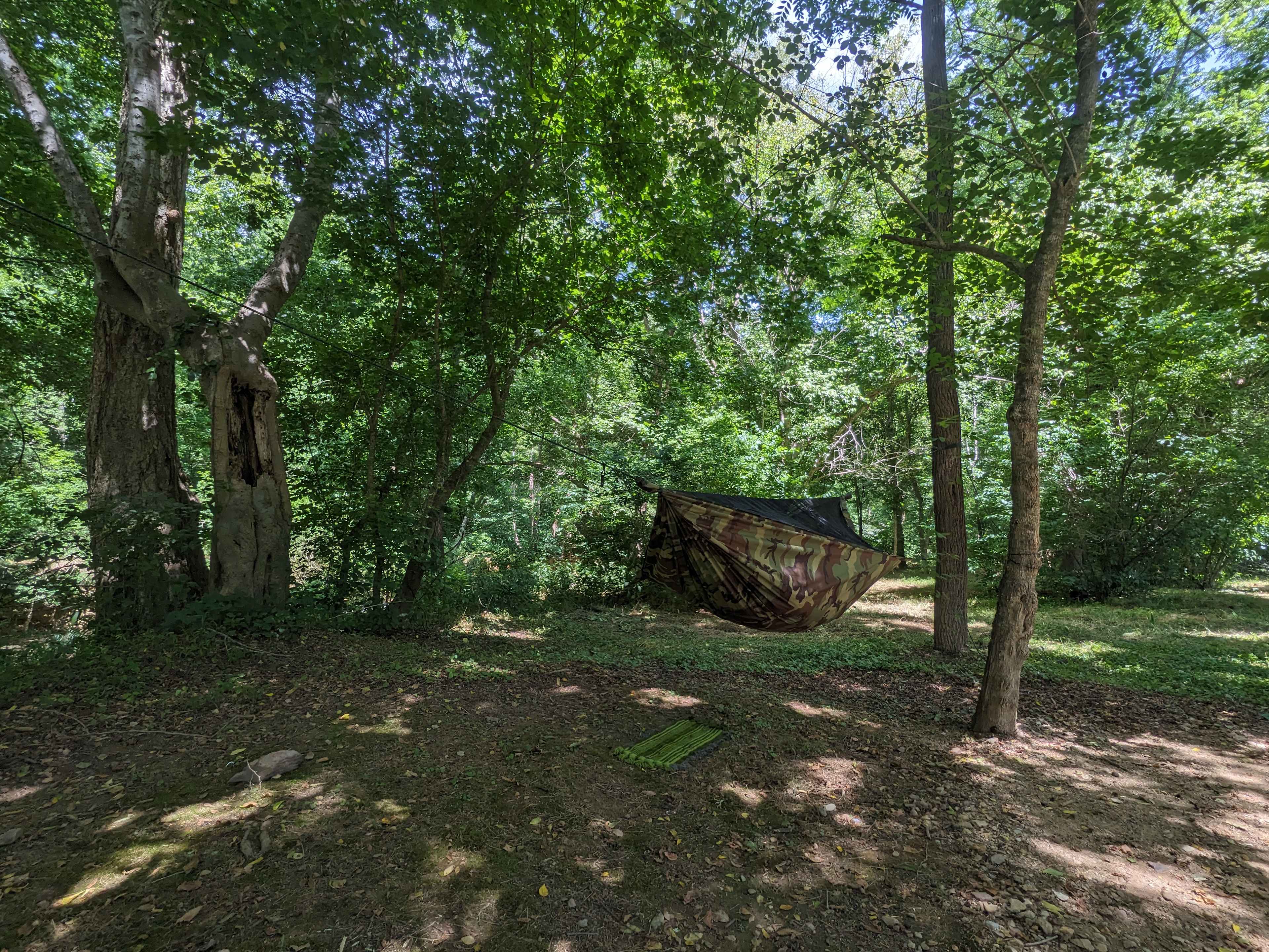 Hammock camping 