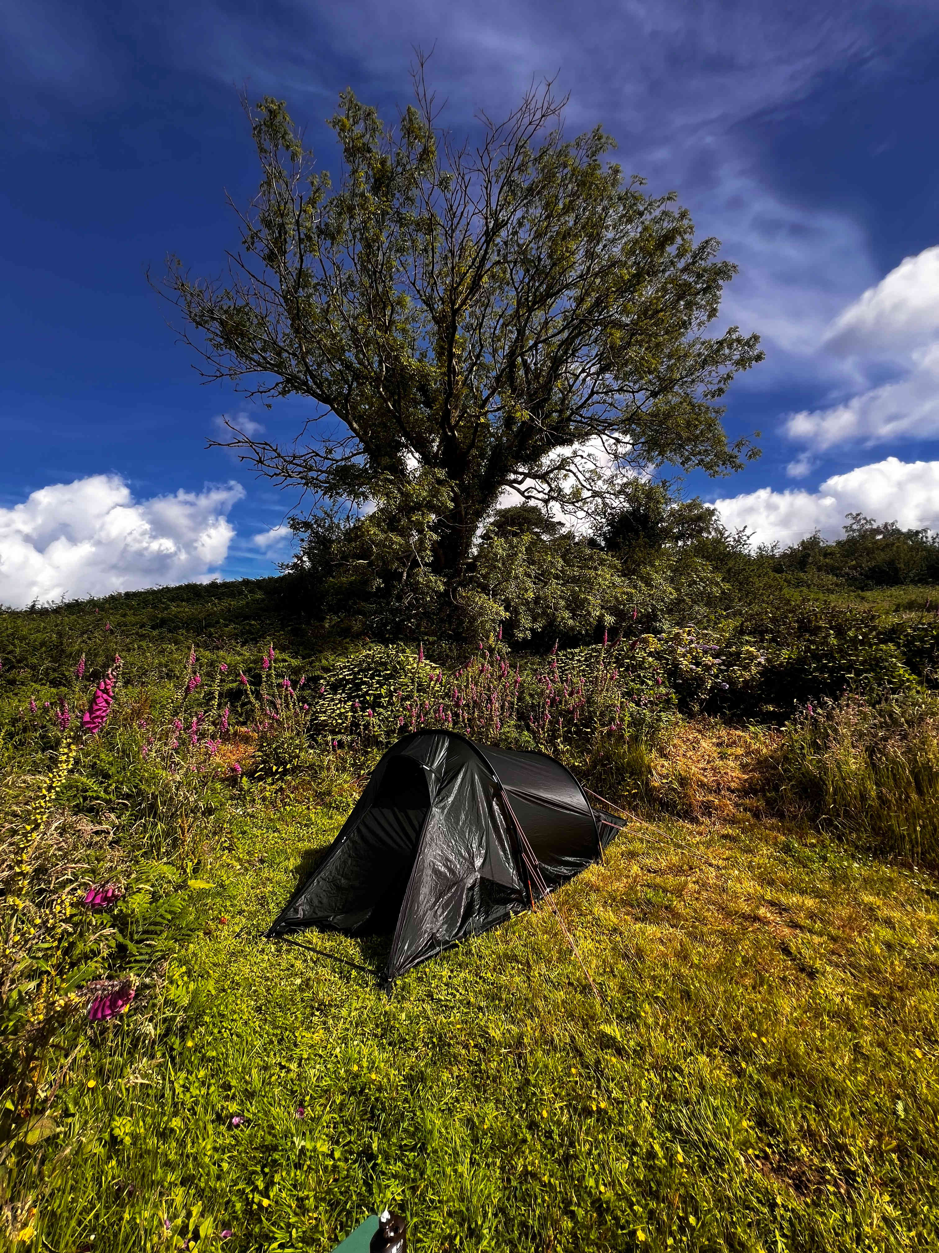Snowdonia Glamping