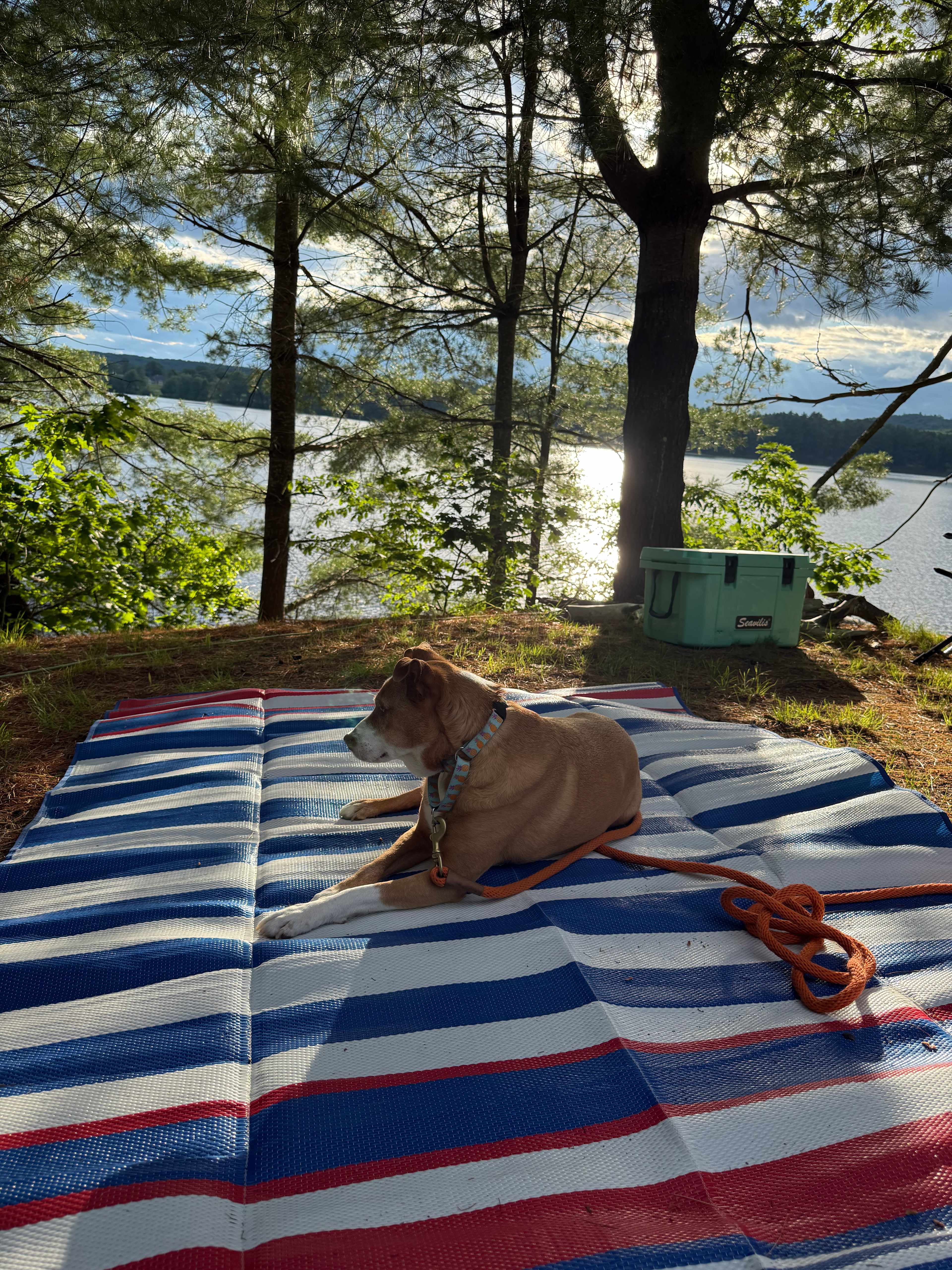 Slippery Rock Trails LLC