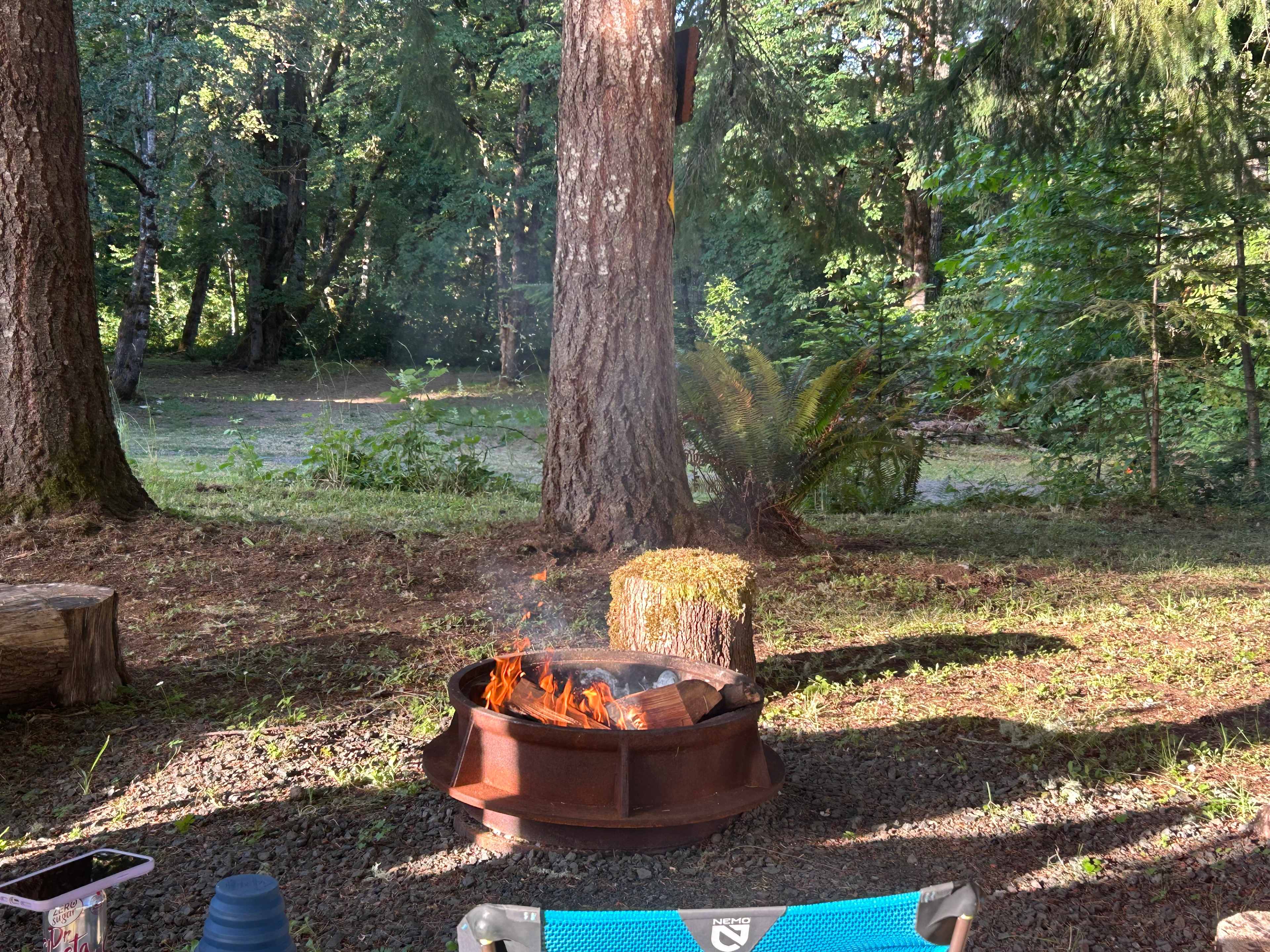 Picture of the site