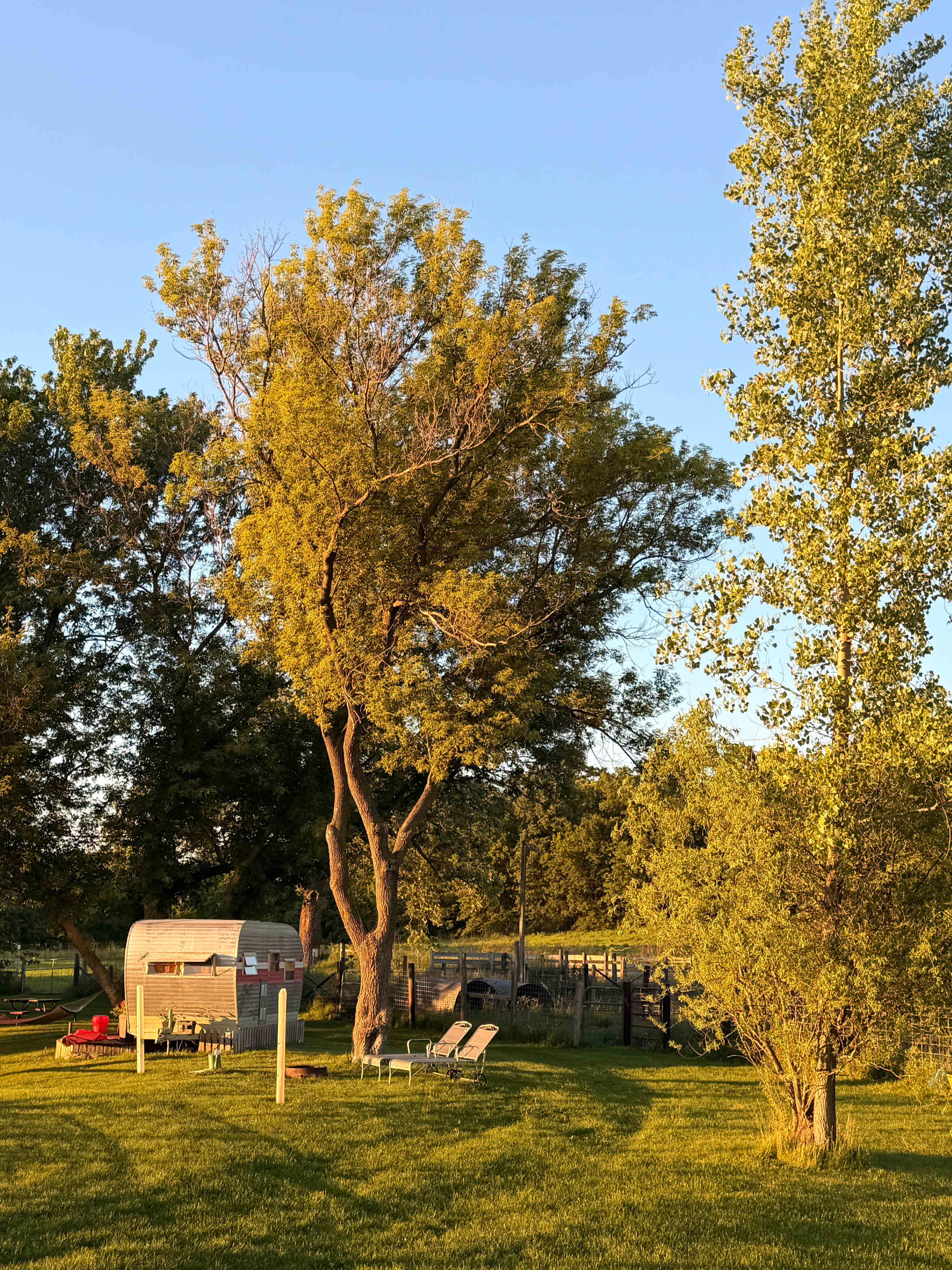 Circle M Farm Stay: Camp or Glamp