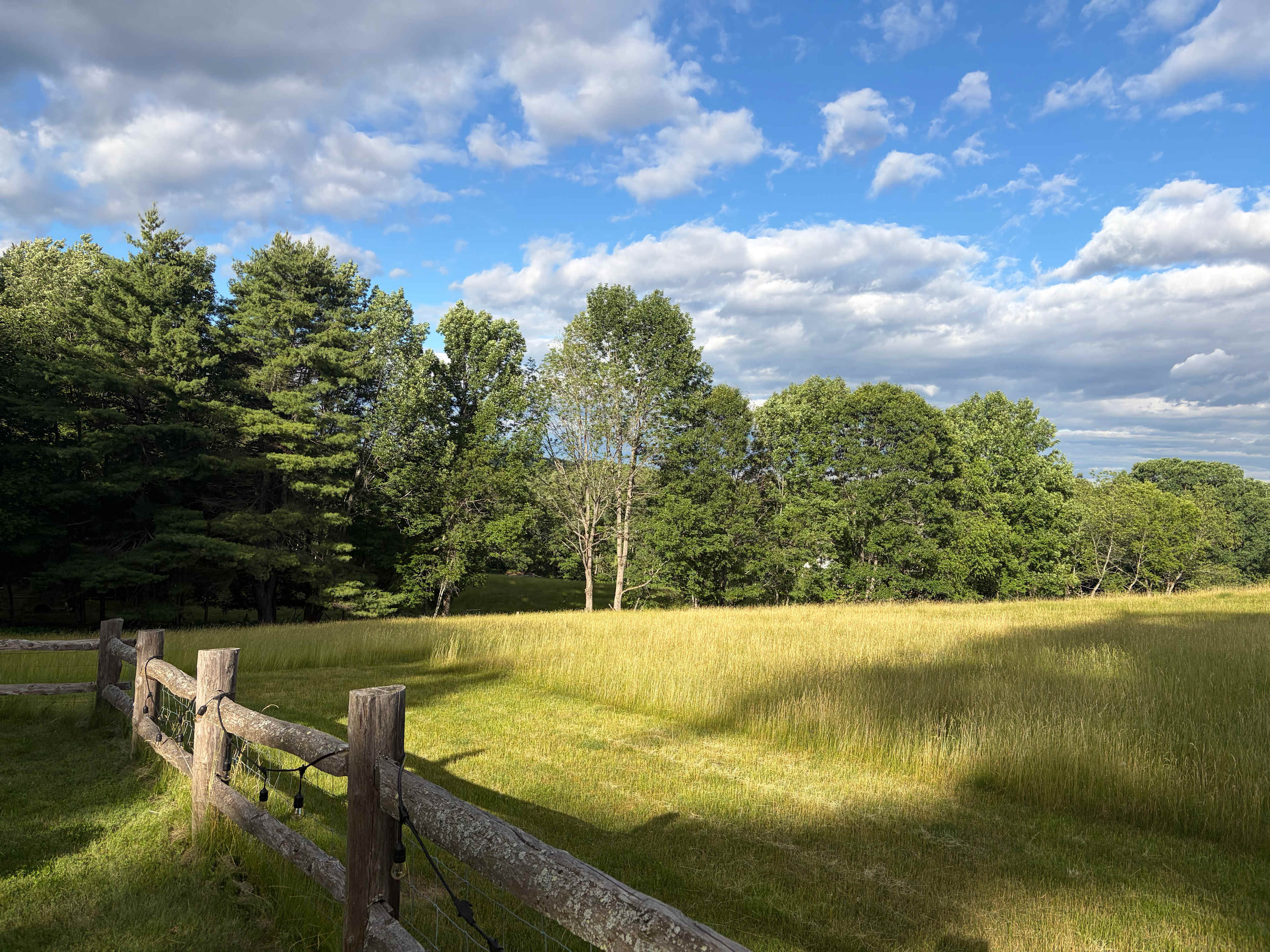 BrandiLee Woods at the Woolley farm