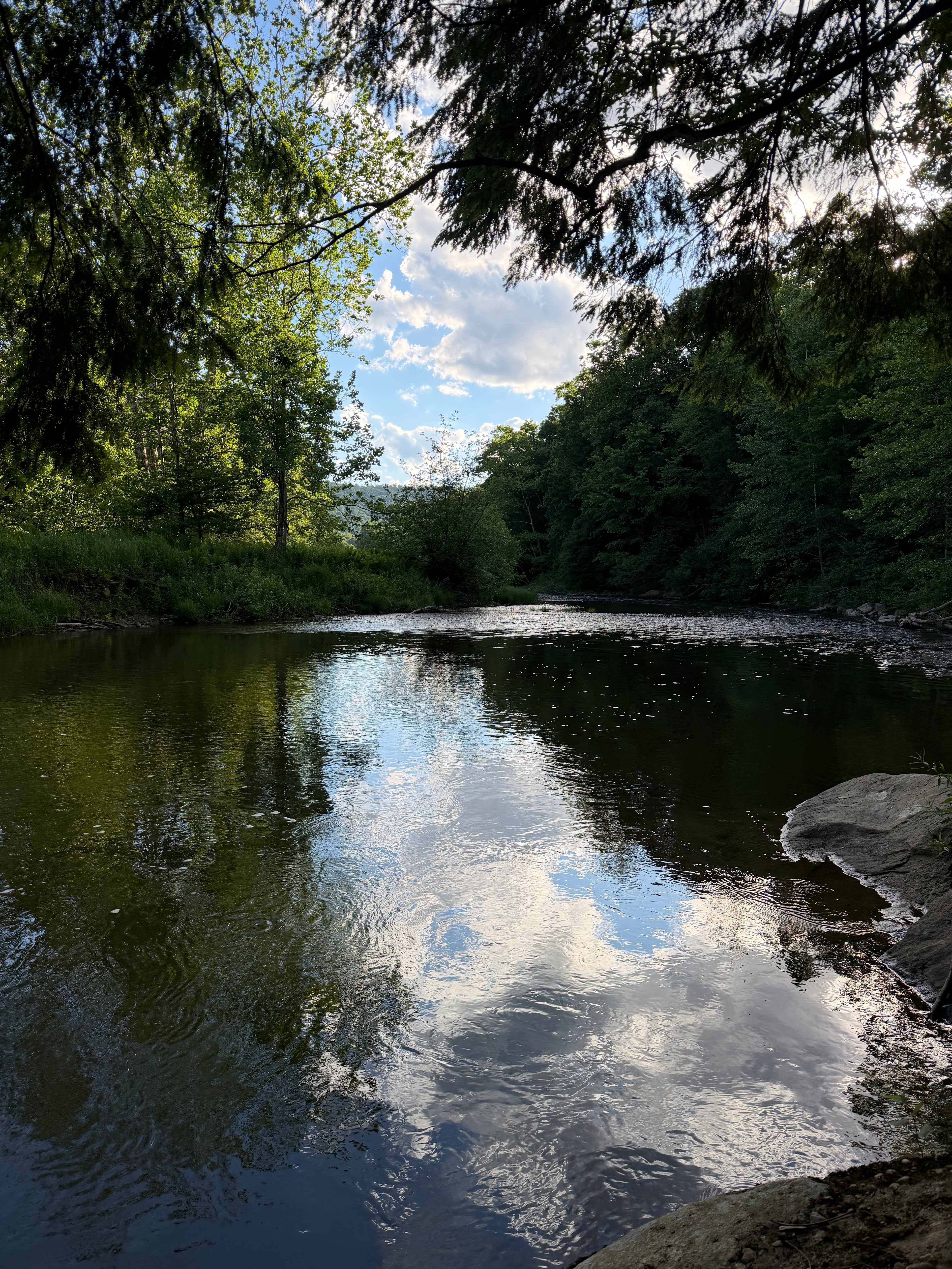 River view 2
