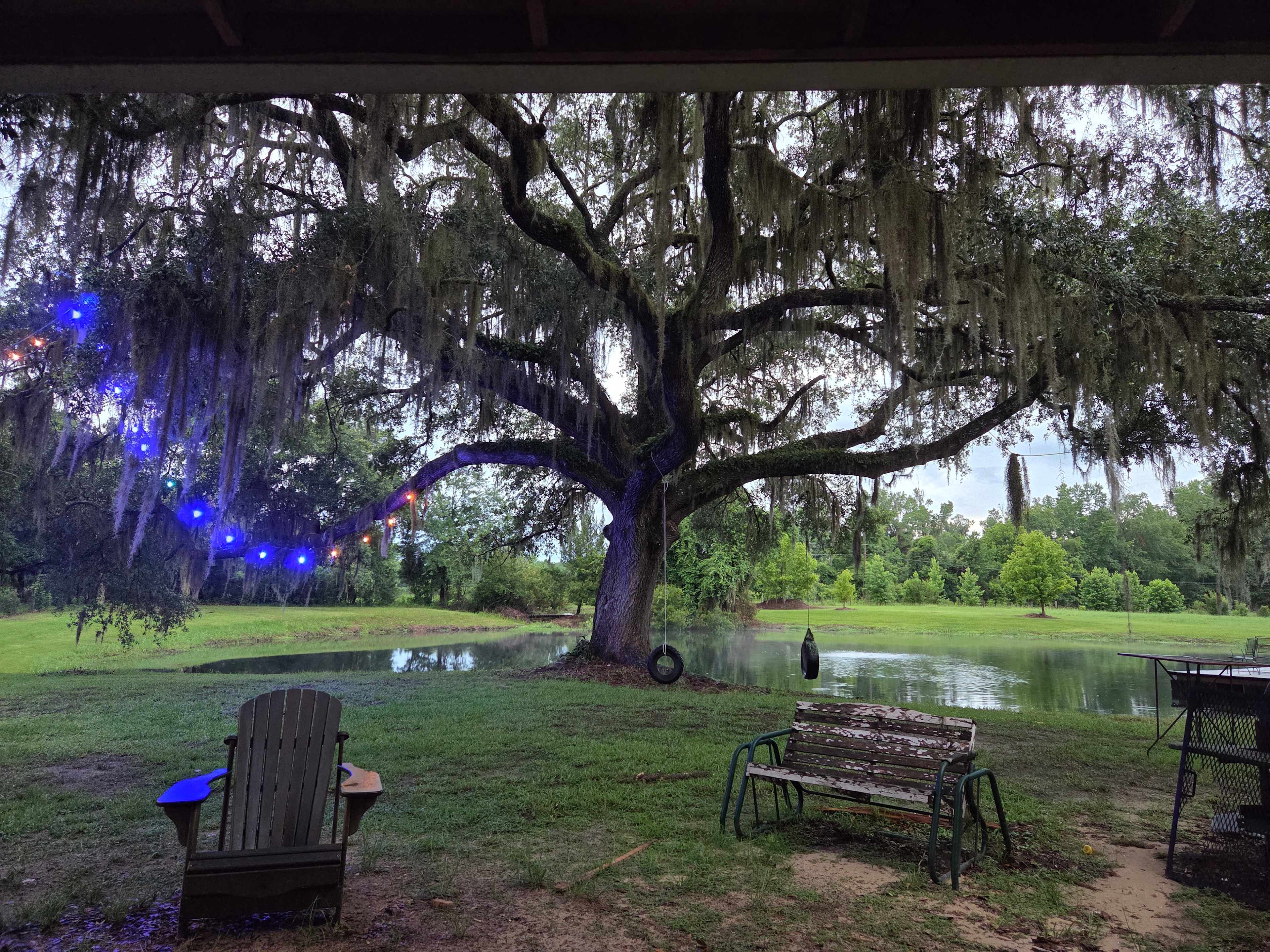 Our Peaceful farm near Alachua
