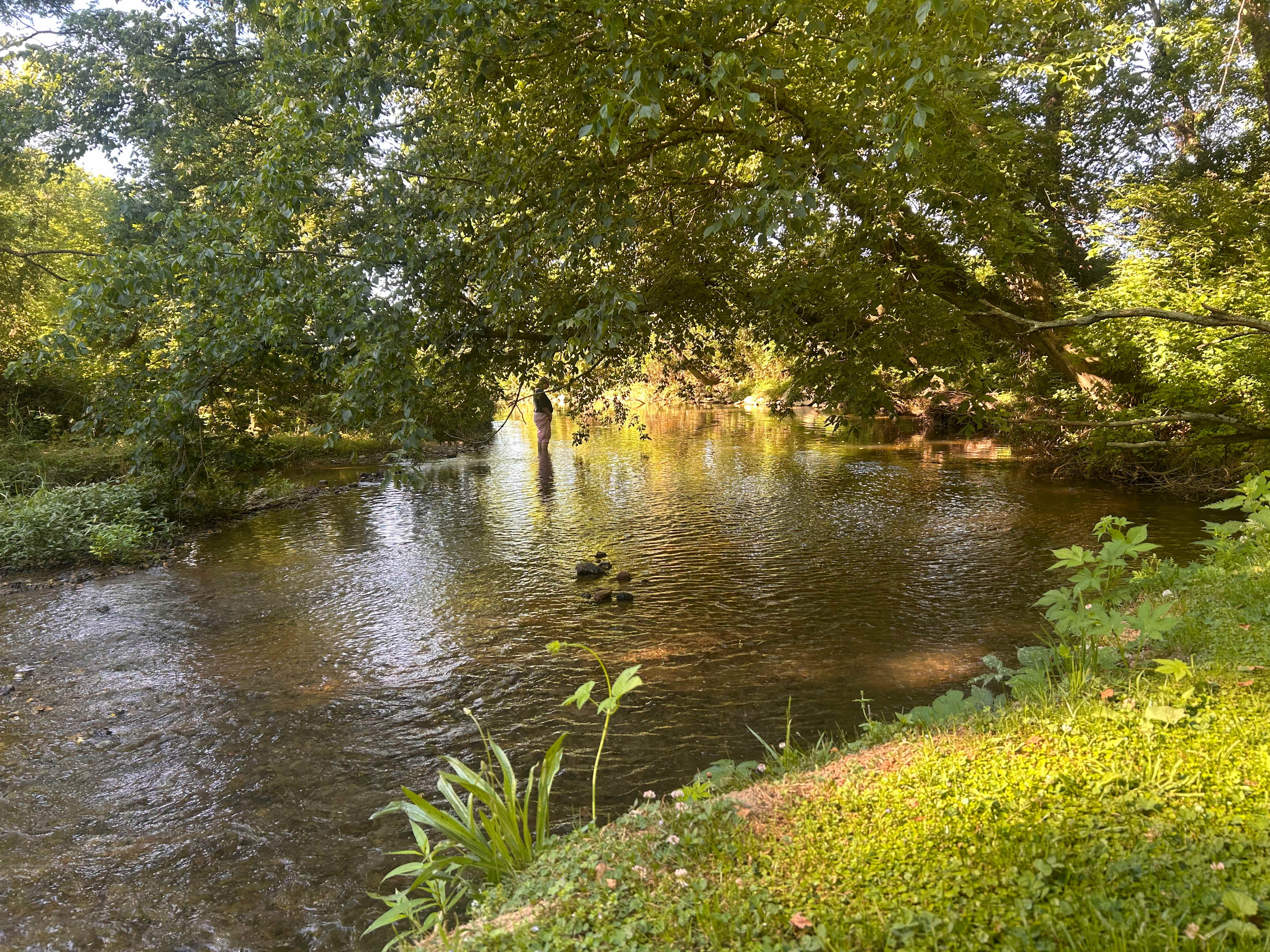 Conowingo Creek Campsite