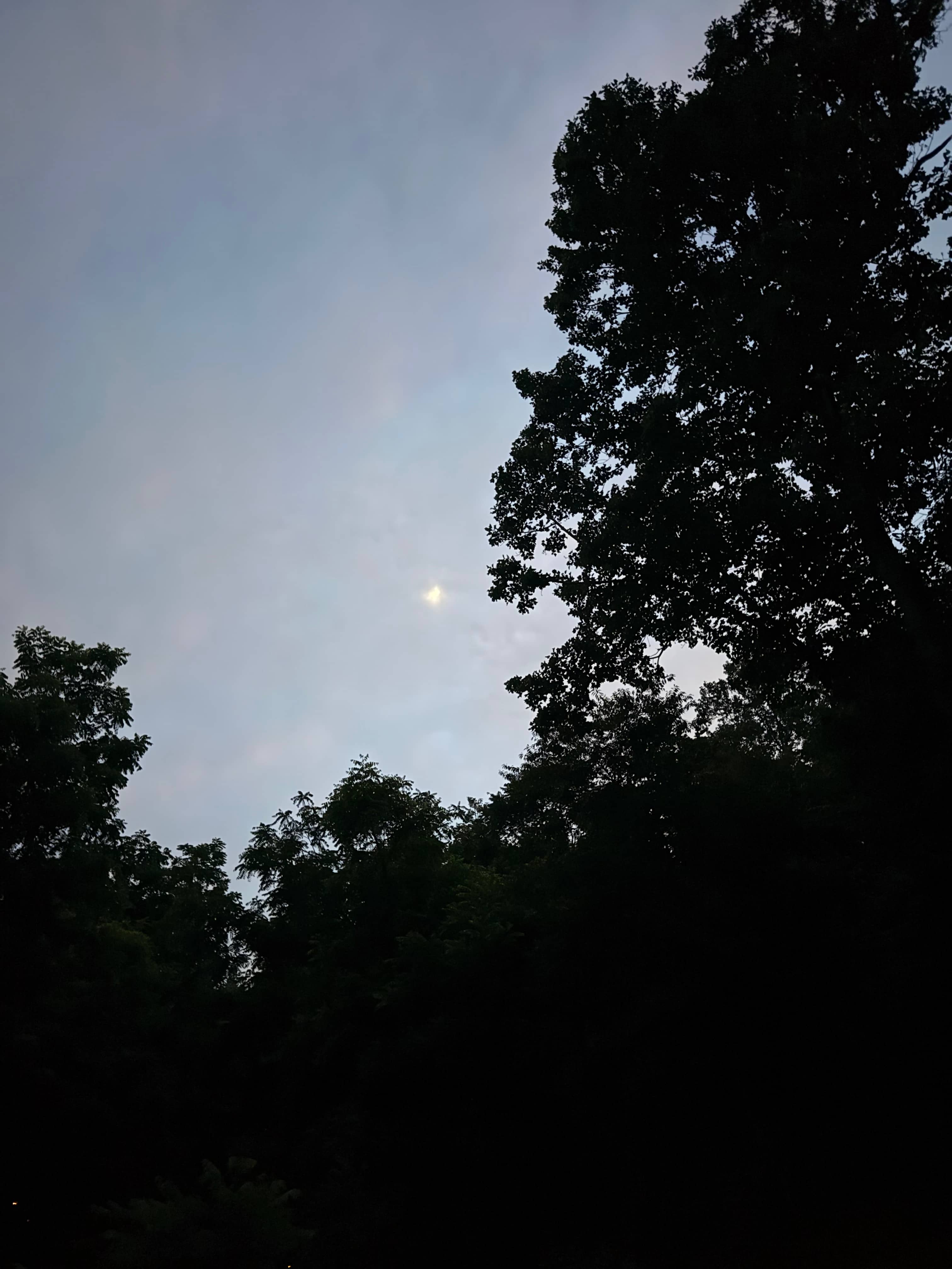 The Baying Hound Campground