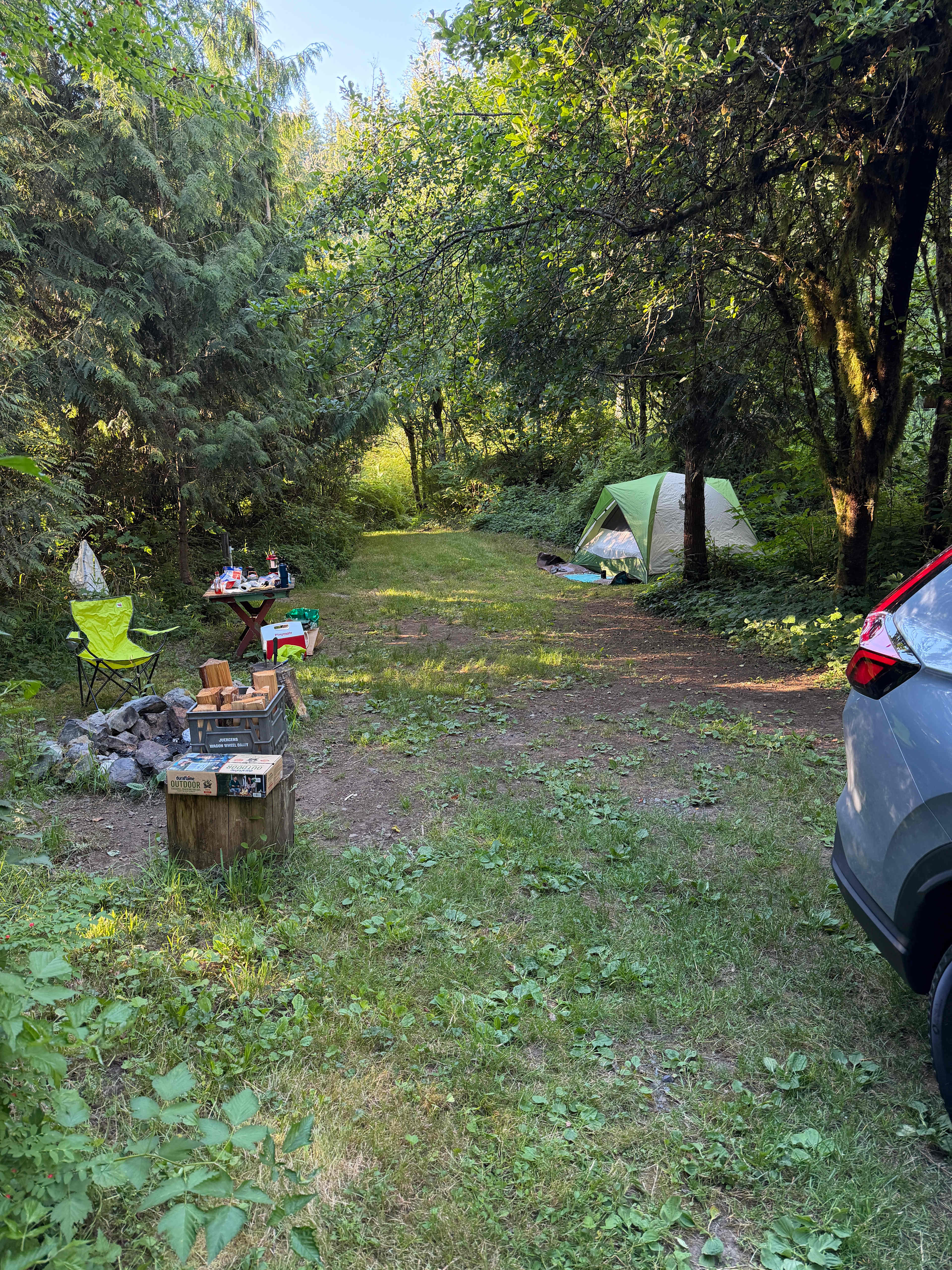 Valhalla Tree Farm