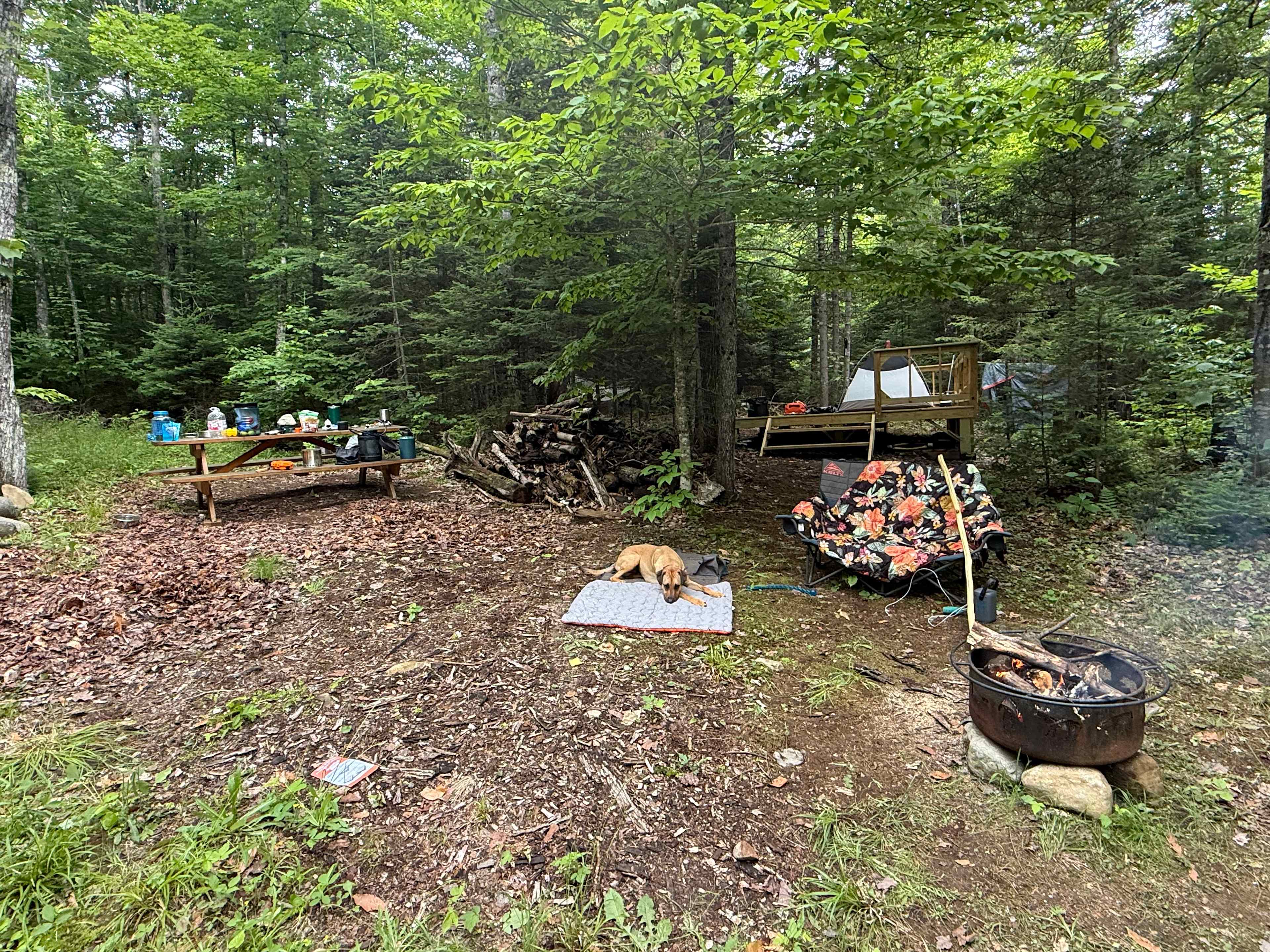 Kingfield creek camping