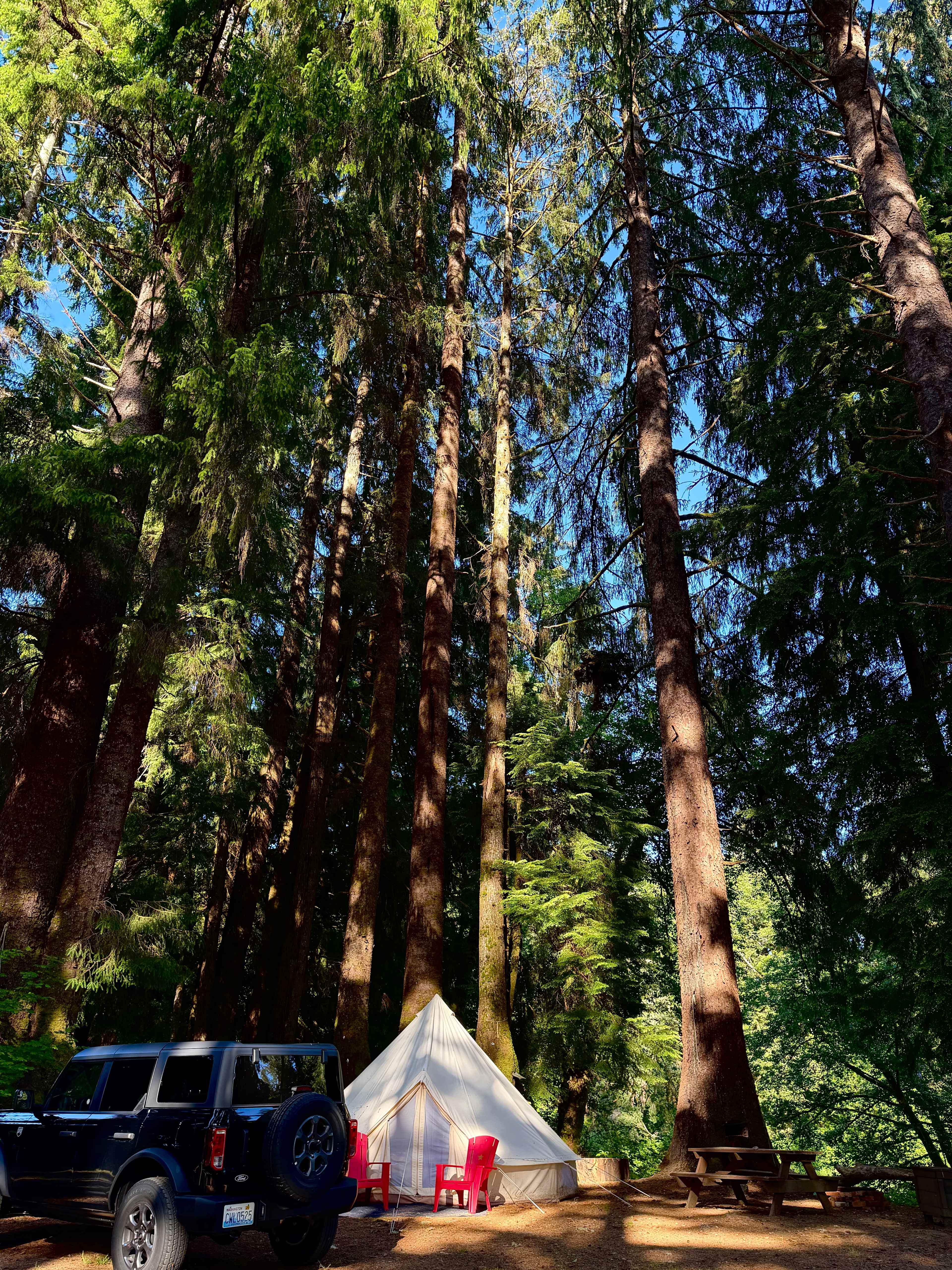 The Ultimate Camping Trip