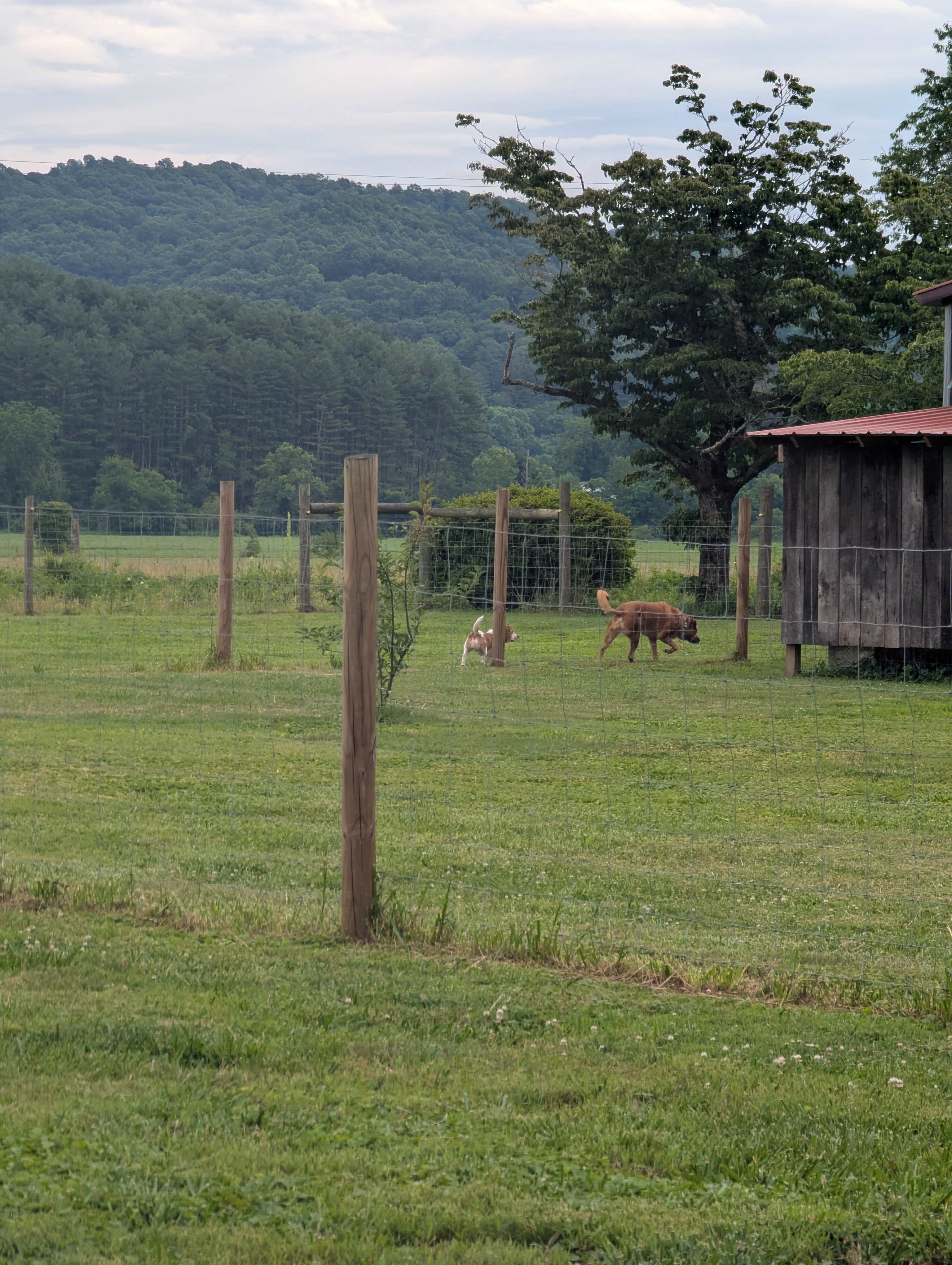 Bell’s Scenic RV Pasture