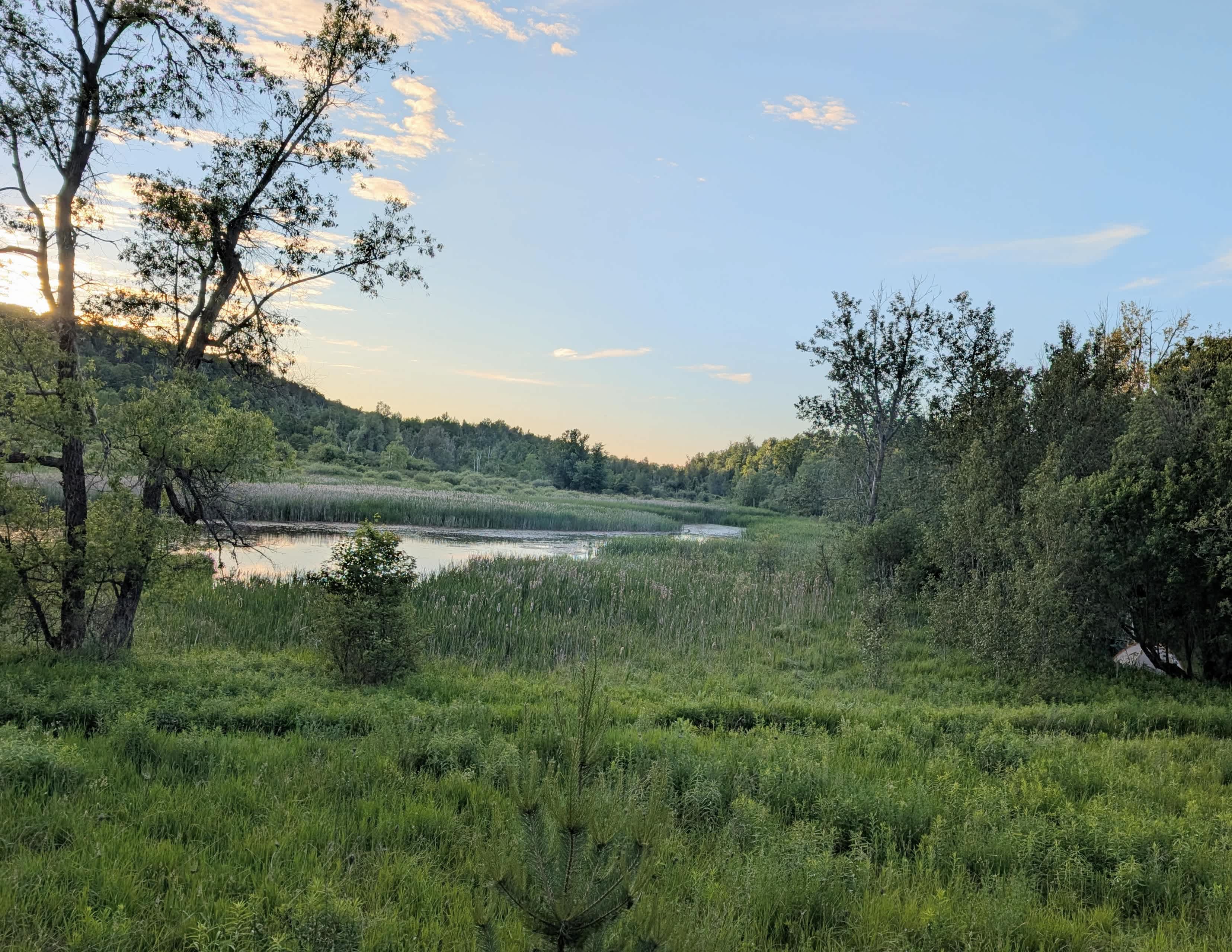 Next to Mono Cliffs Provincial Park