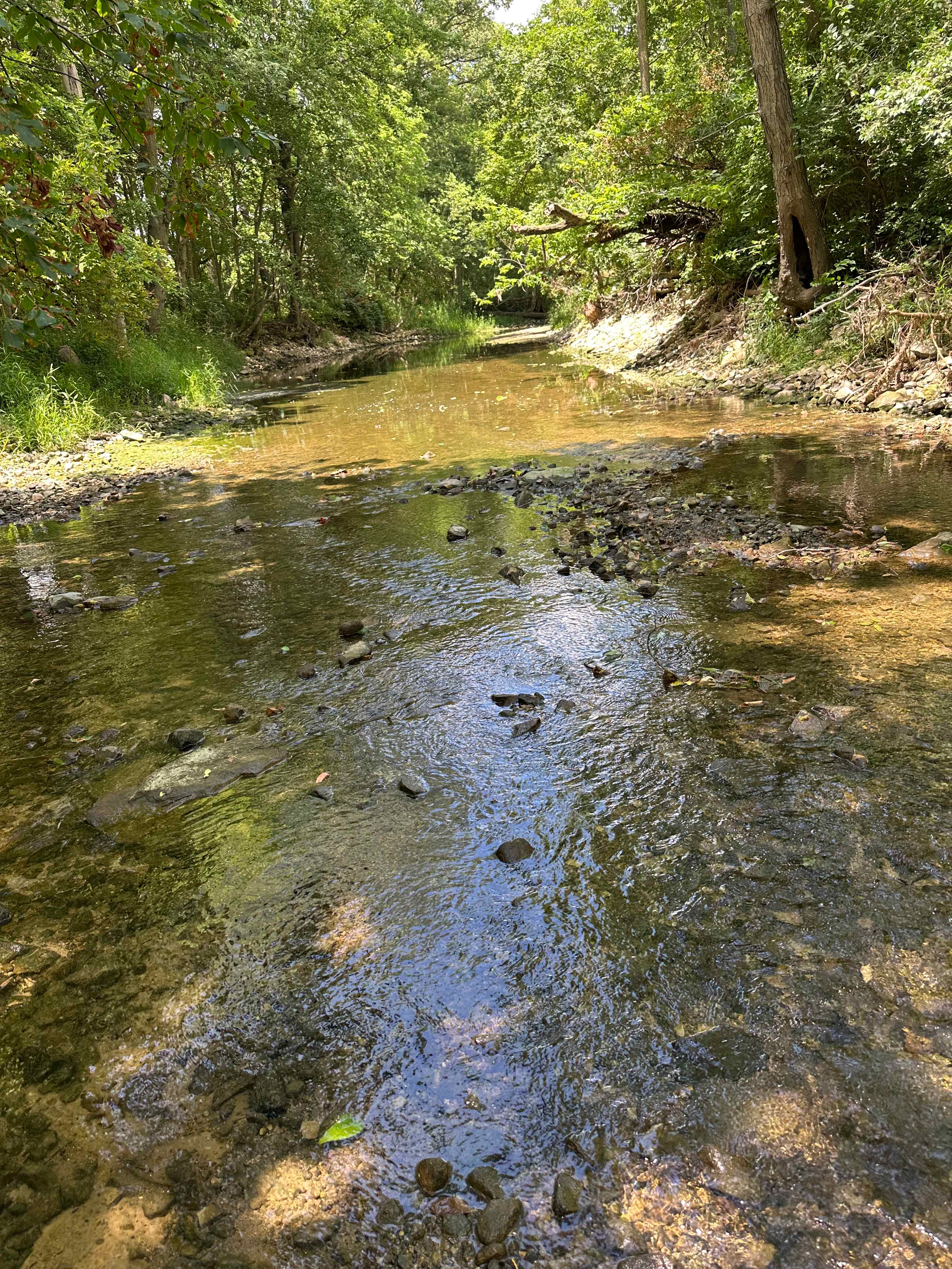 Rusty's Retreat with pond and river
