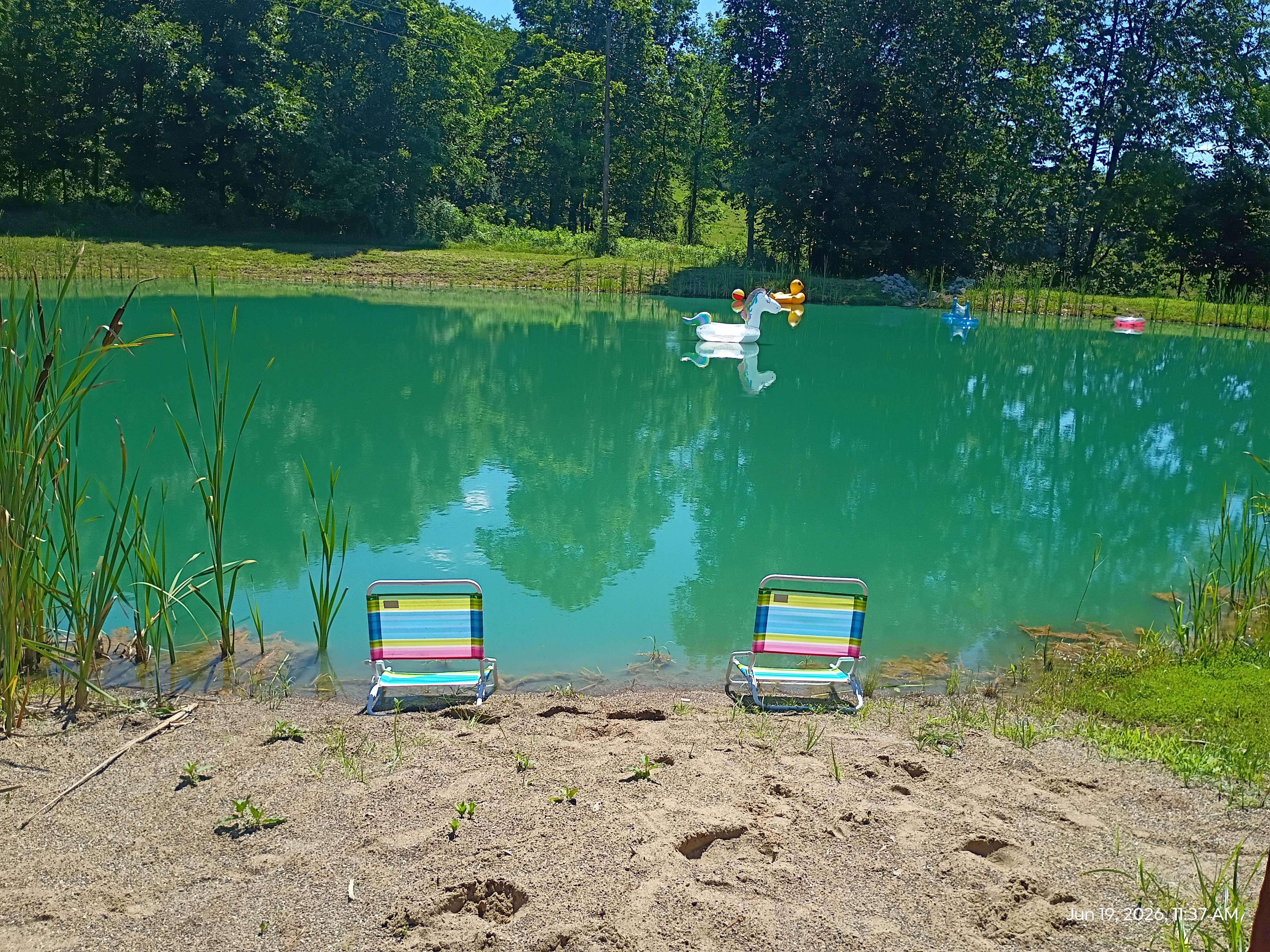 Dexter Run Farms and Lodging