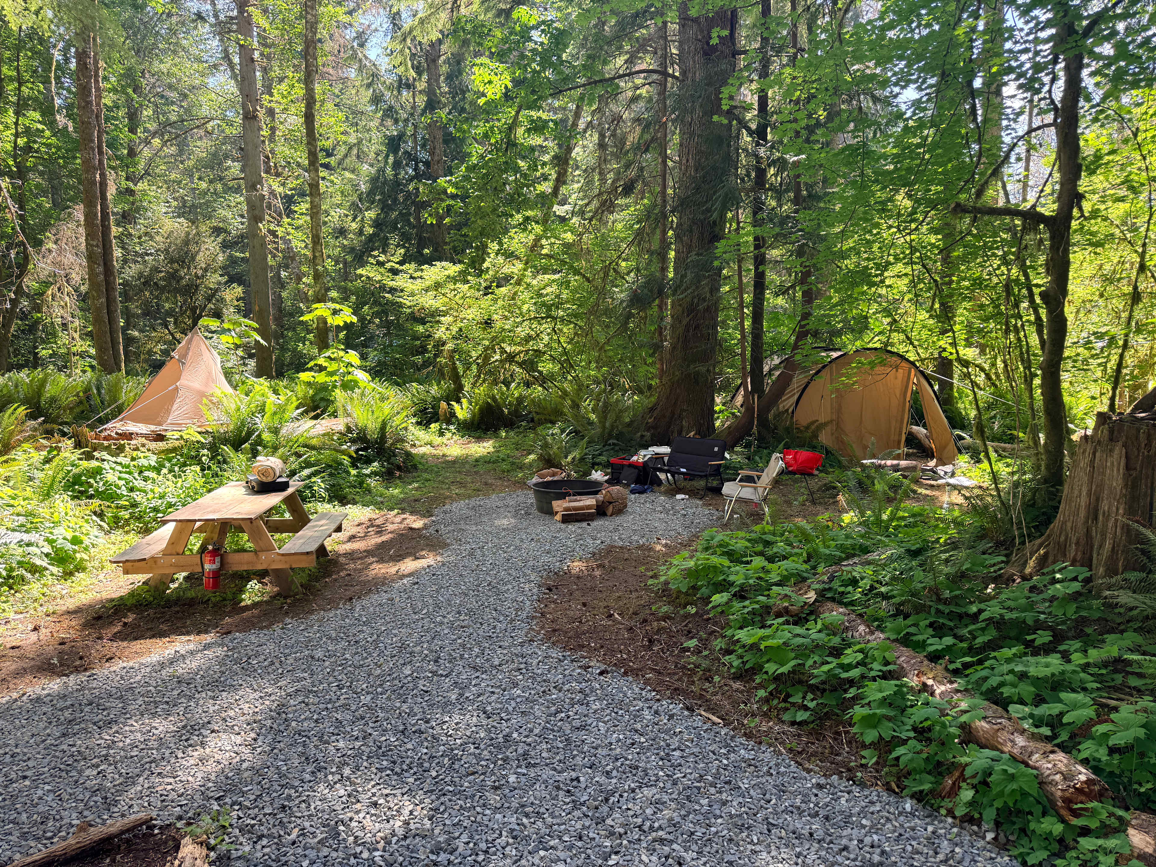 Picture of the site