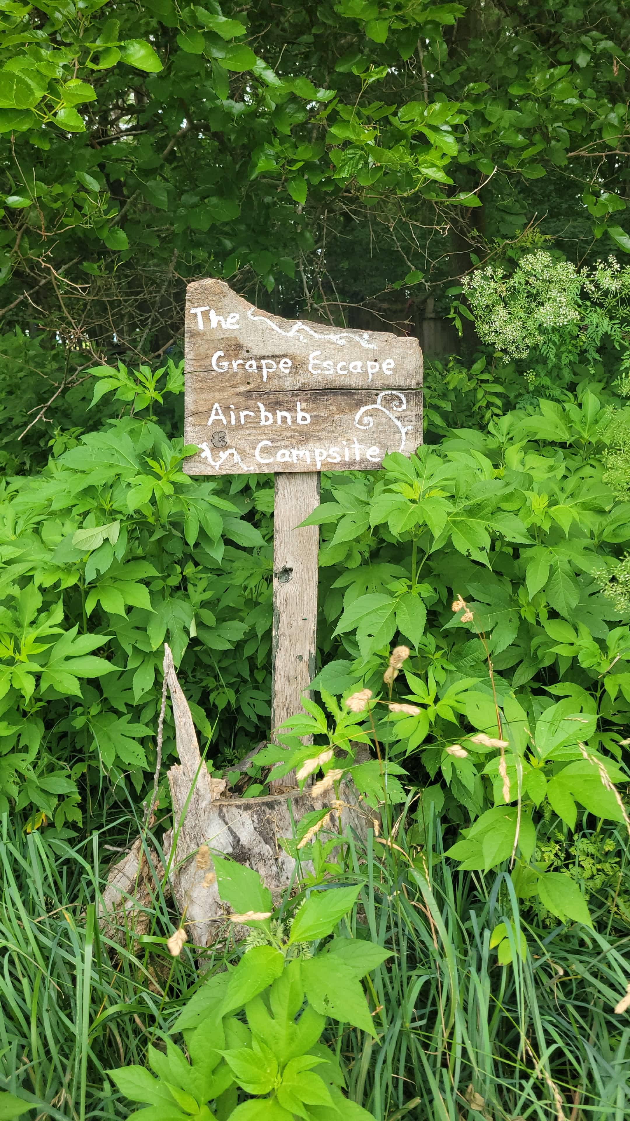 Fairytale Camping