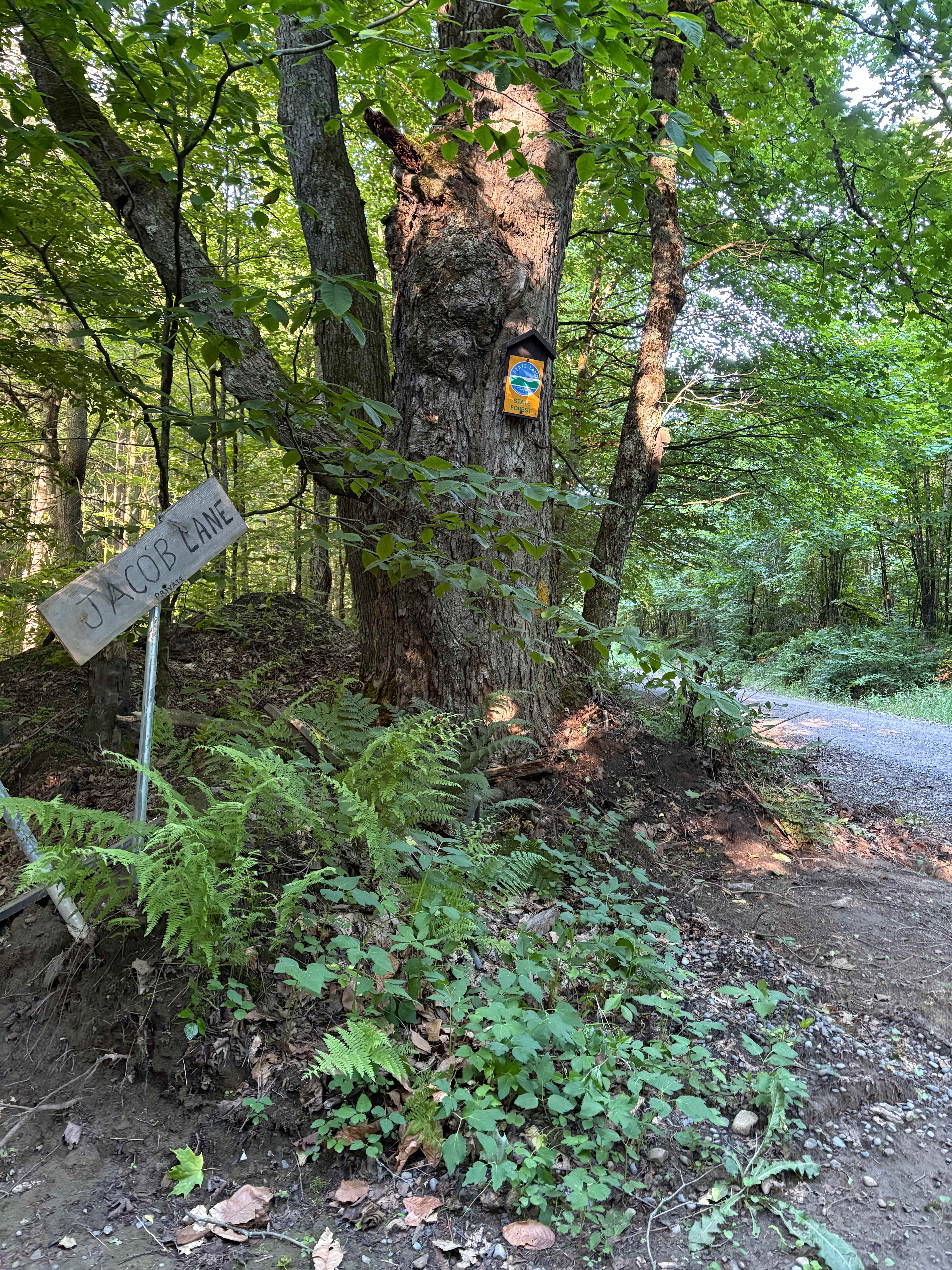 Signs at the entrance 